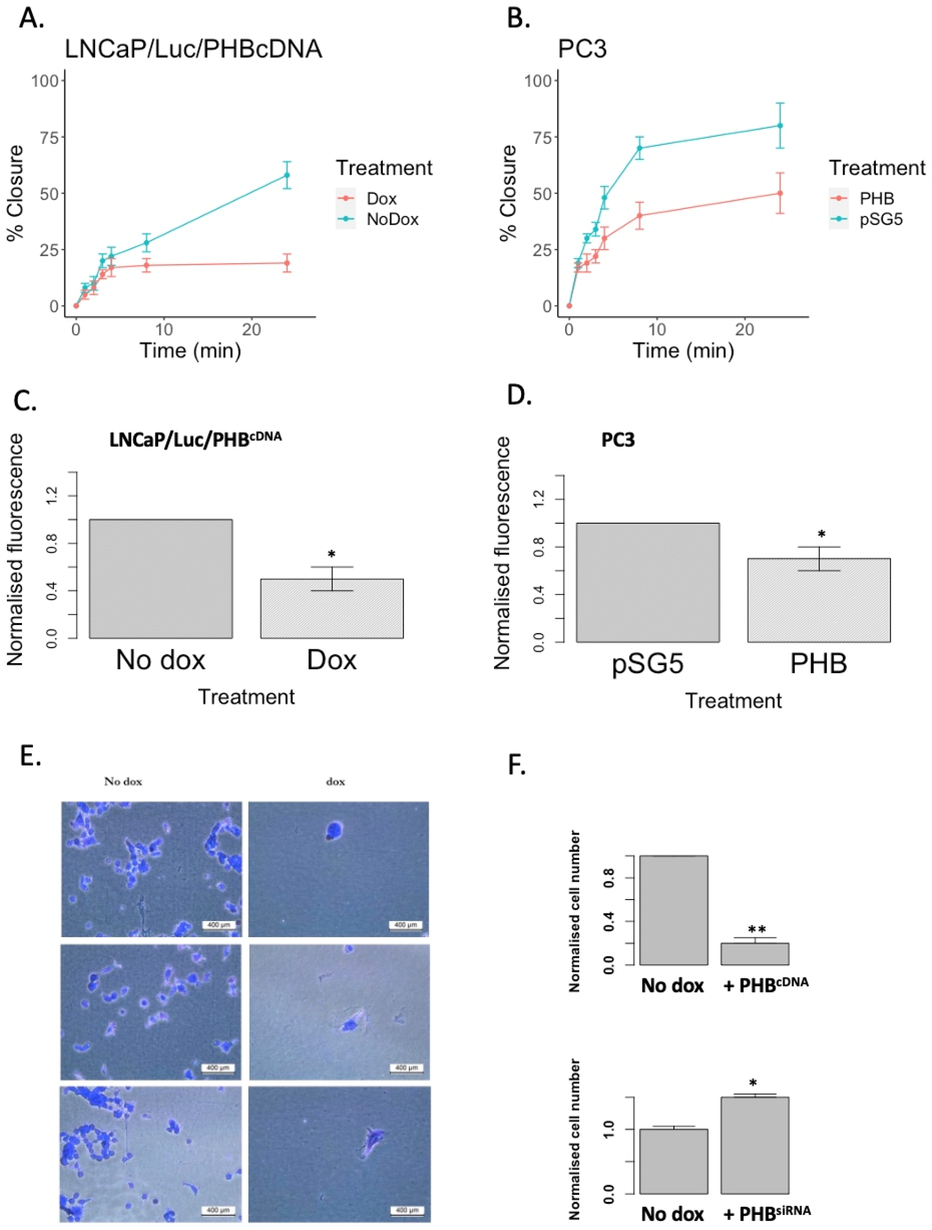 Ijms 24 09919 g004 Ijms 24 09919 g004