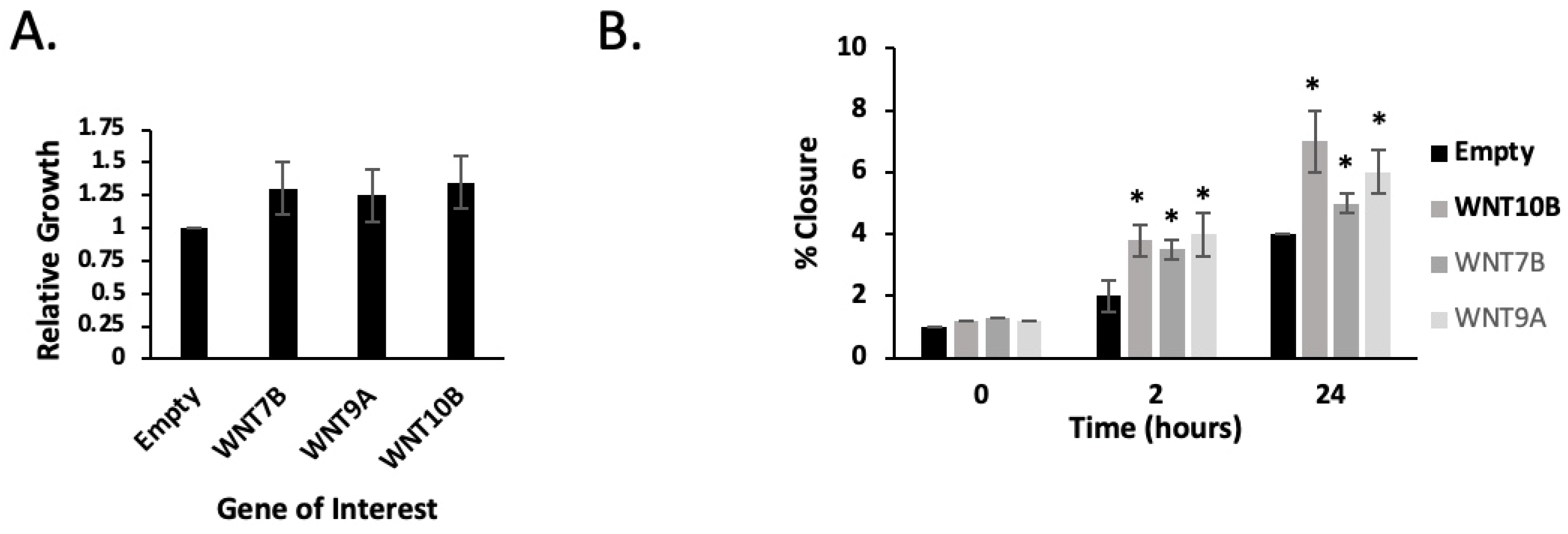 Ijms 24 09919 g005 Ijms 24 09919 g005
