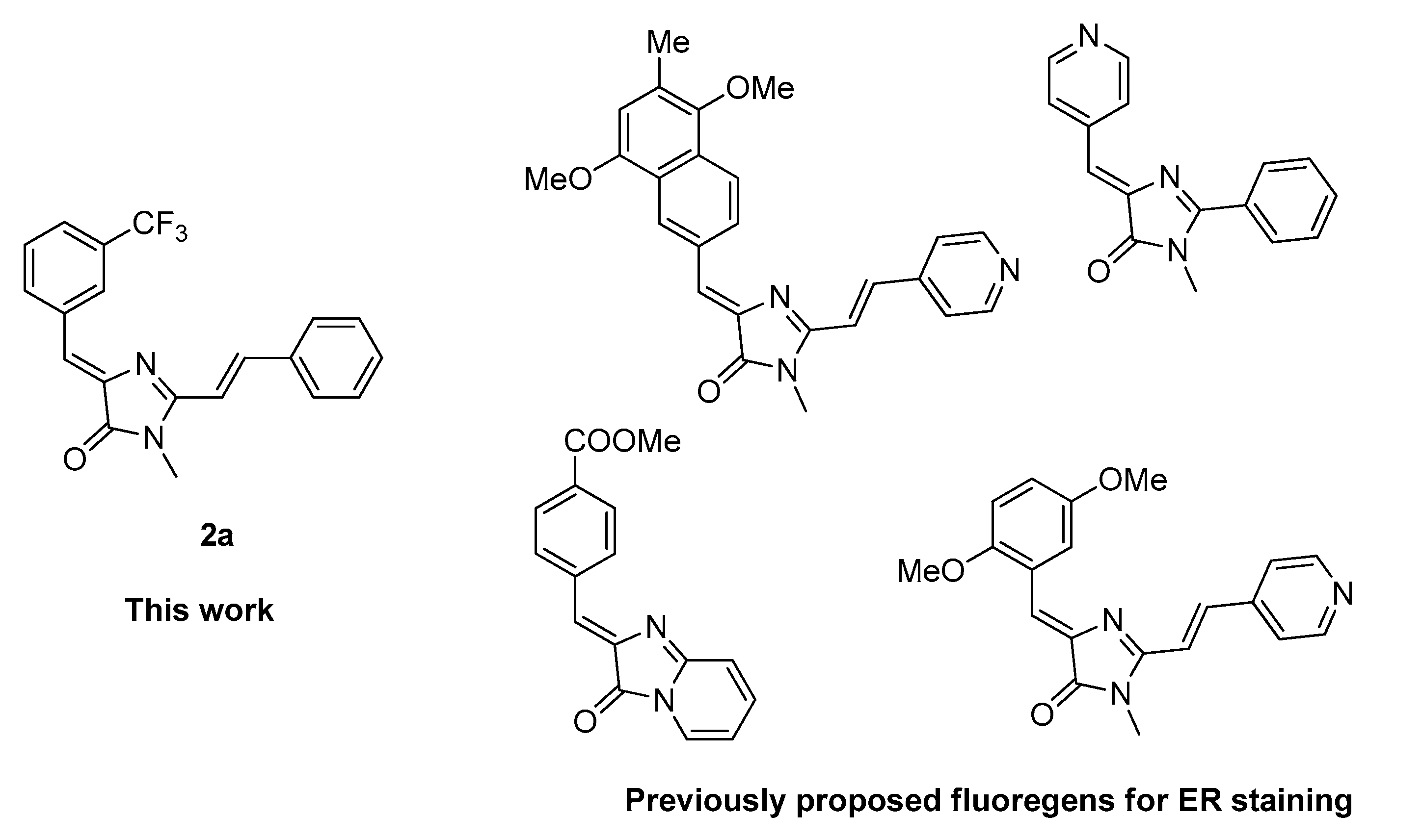 Ijms 24 09923 g004 Ijms 24 09923 g004