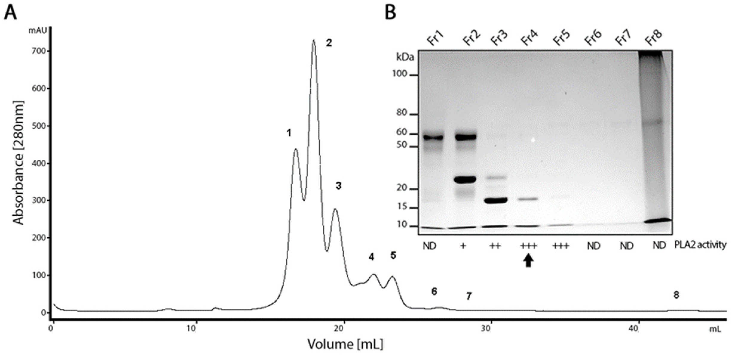 Ijms 24 09931 g001 Ijms 24 09931 g001