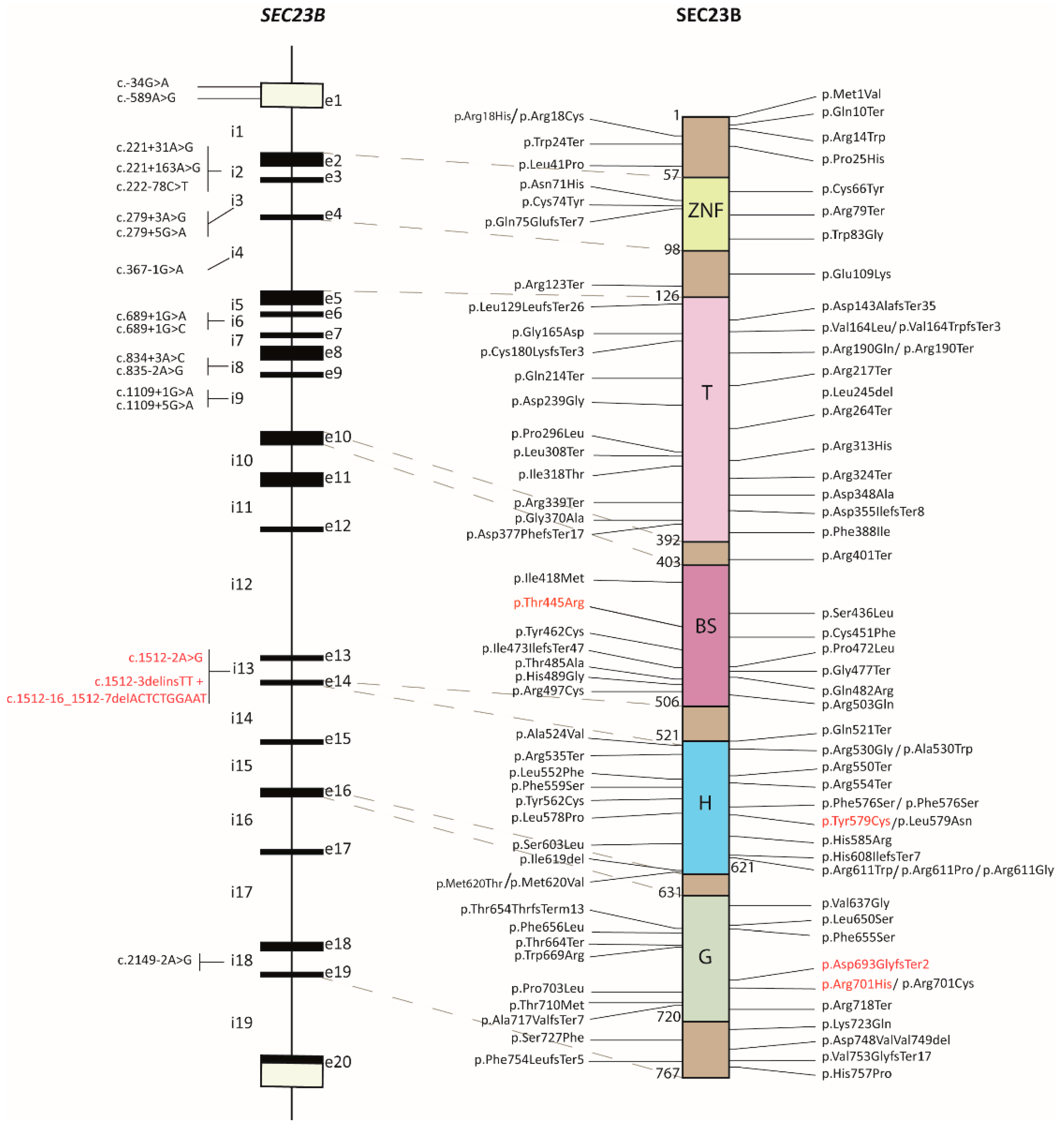 Ijms 24 09935 g001 Ijms 24 09935 g001