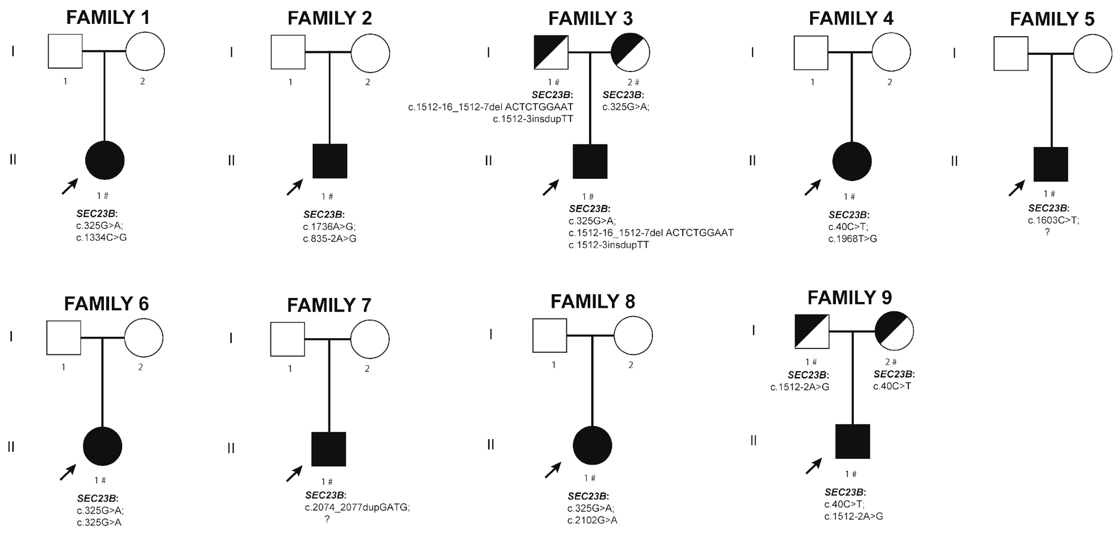 Ijms 24 09935 g002 Ijms 24 09935 g002