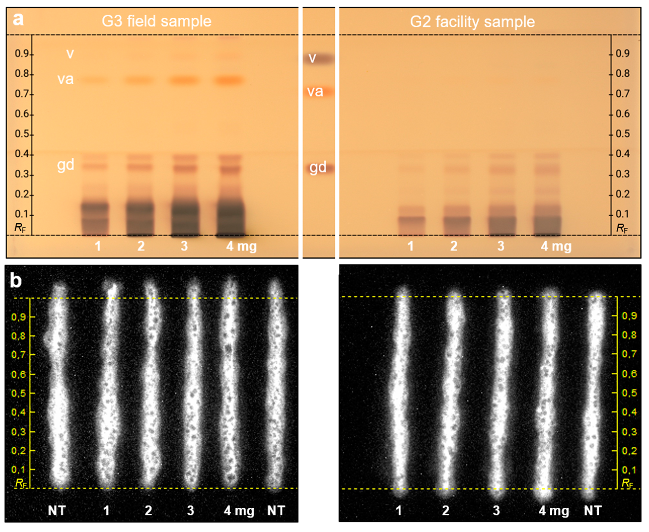 Ijms 24 09936 g003 Ijms 24 09936 g003