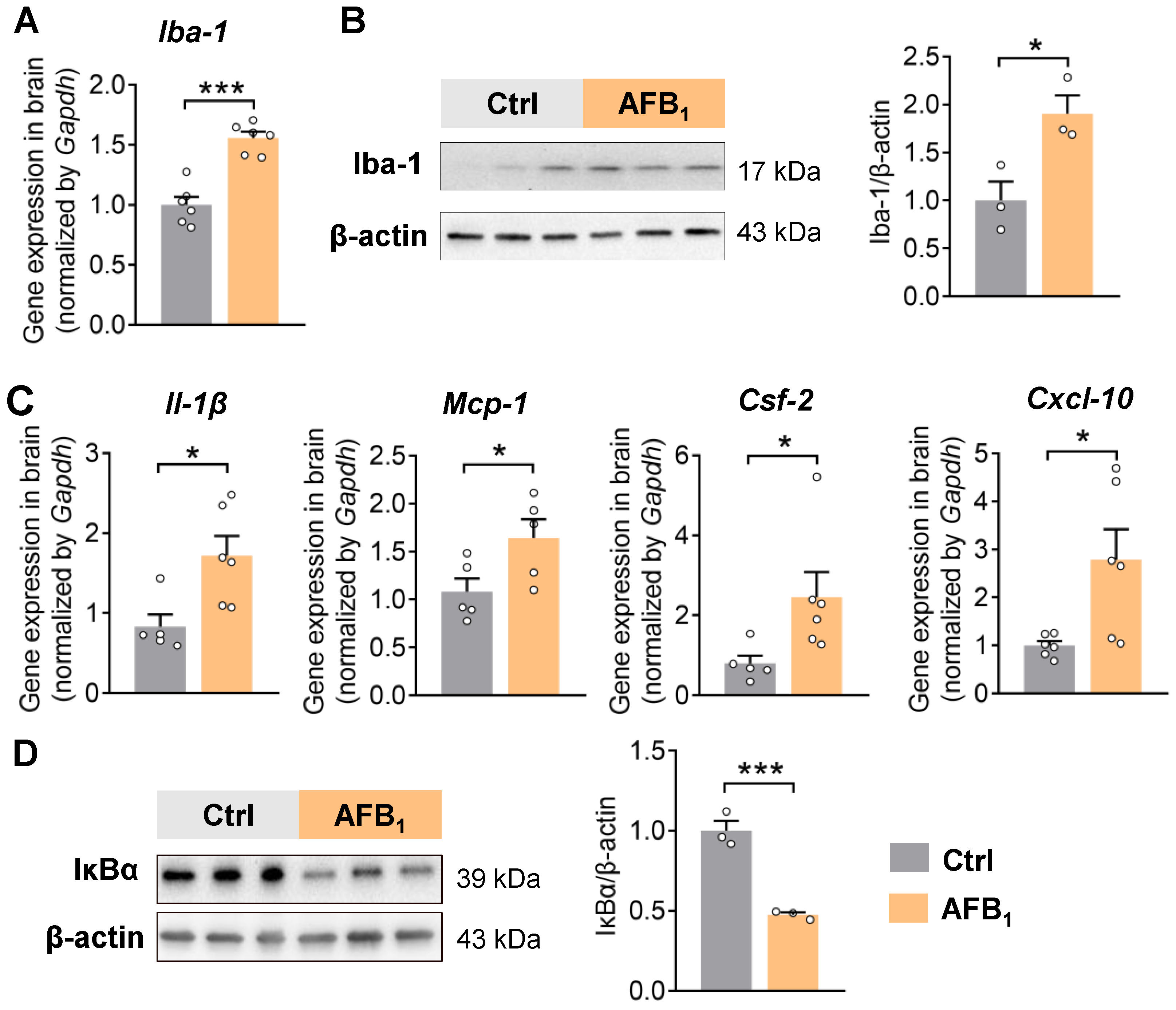 Ijms 24 09938 g001 Ijms 24 09938 g001