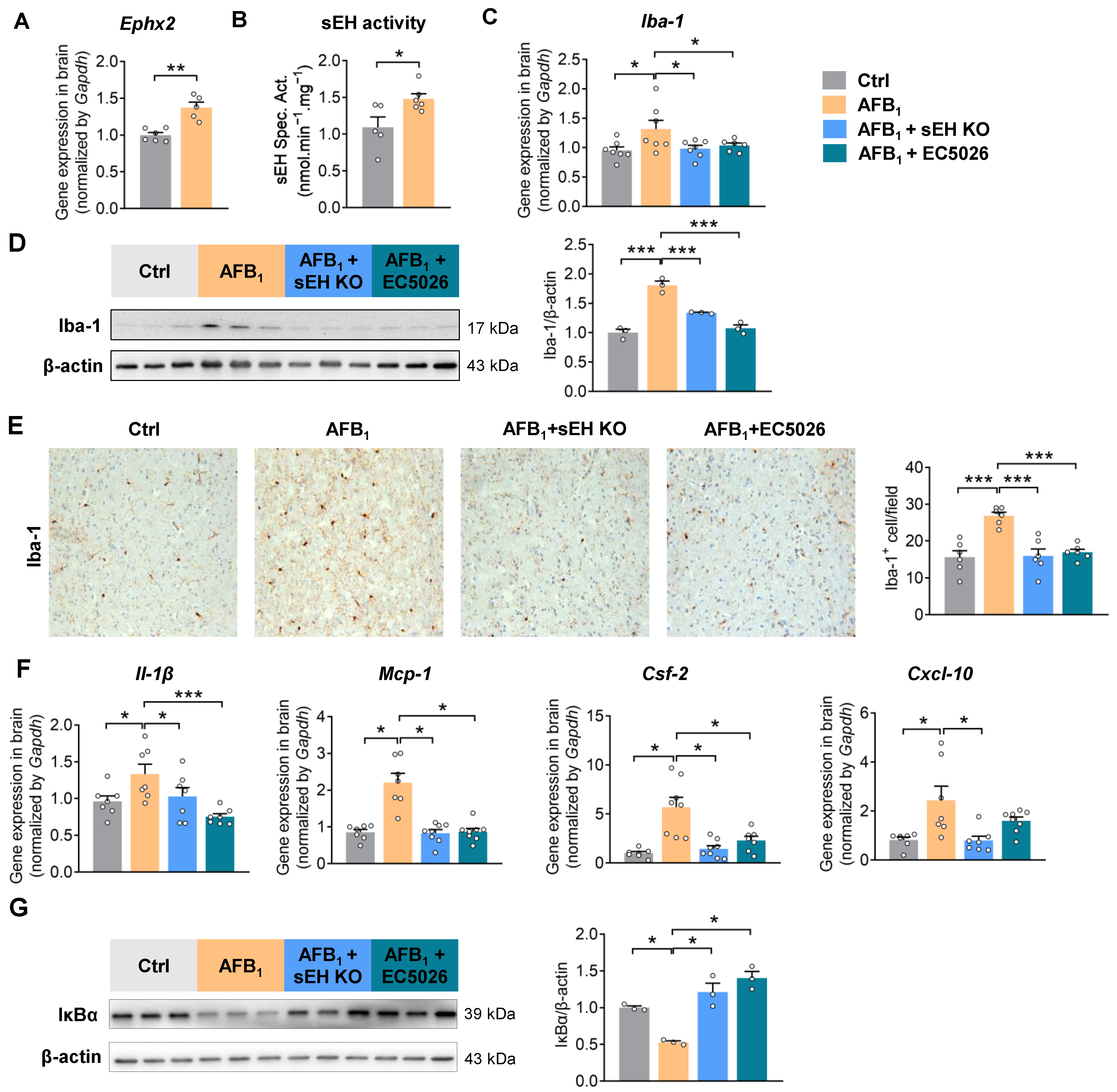 Ijms 24 09938 g003 Ijms 24 09938 g003