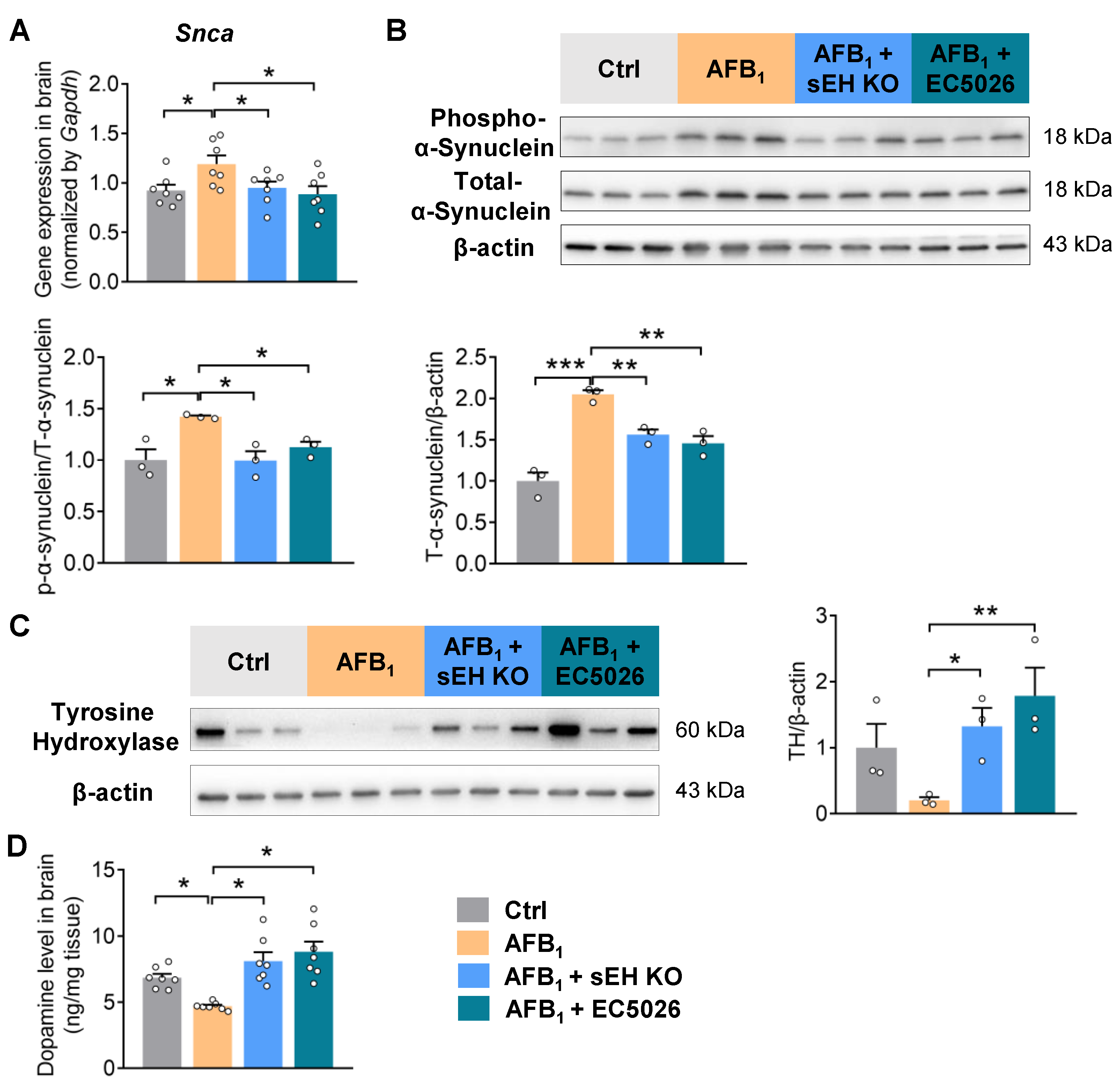 Ijms 24 09938 g004 Ijms 24 09938 g004