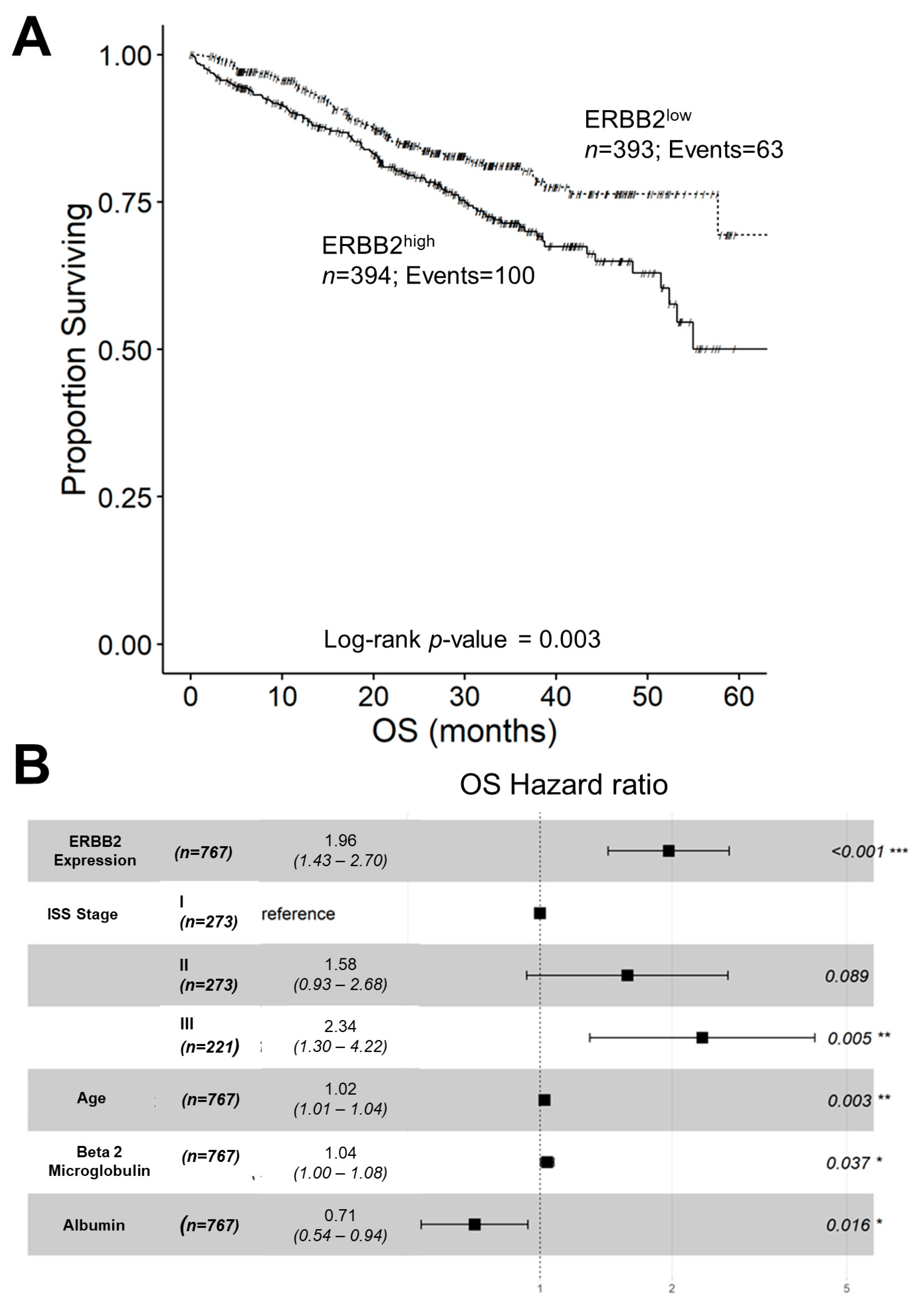 Ijms 24 09943 g004 Ijms 24 09943 g004