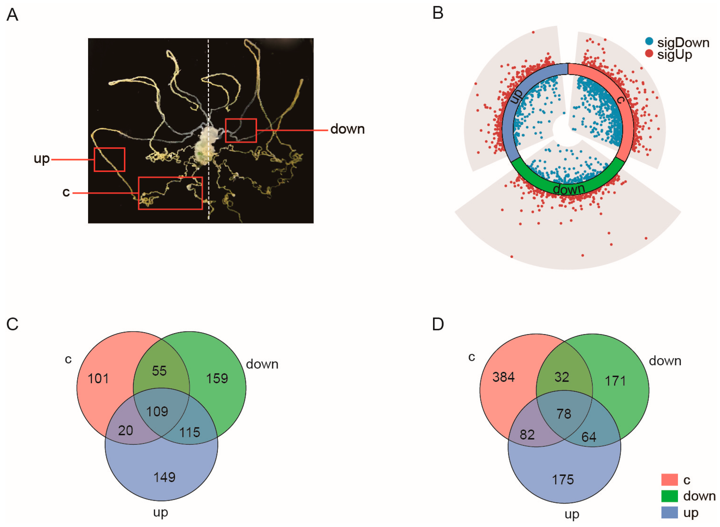 Ijms 24 09949 g002 Ijms 24 09949 g002