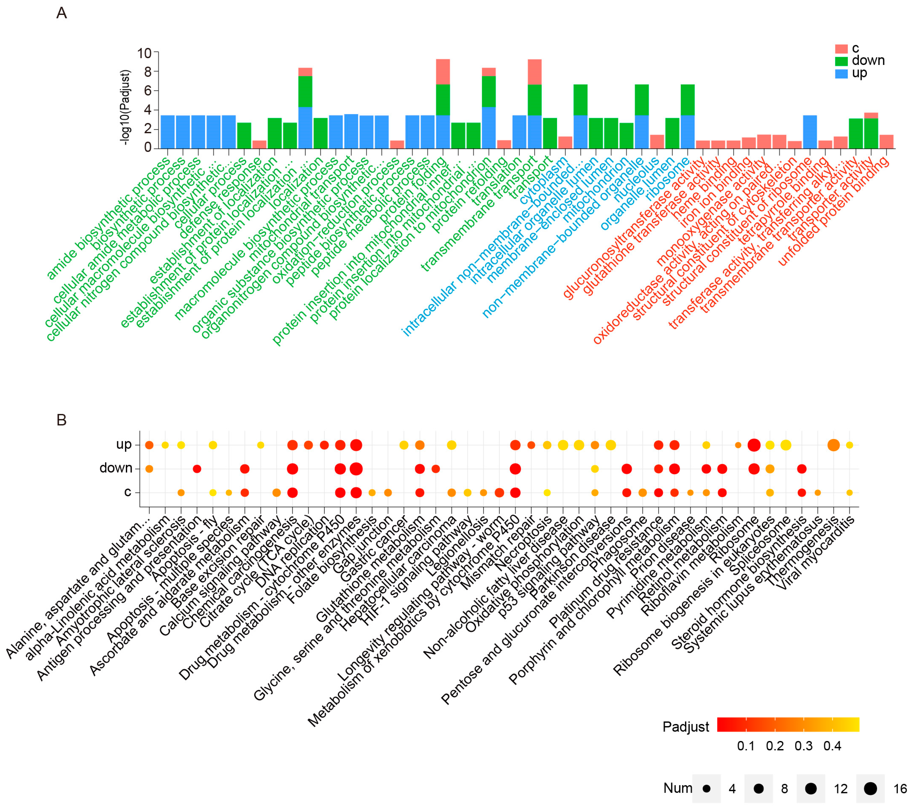 Ijms 24 09949 g003 Ijms 24 09949 g003