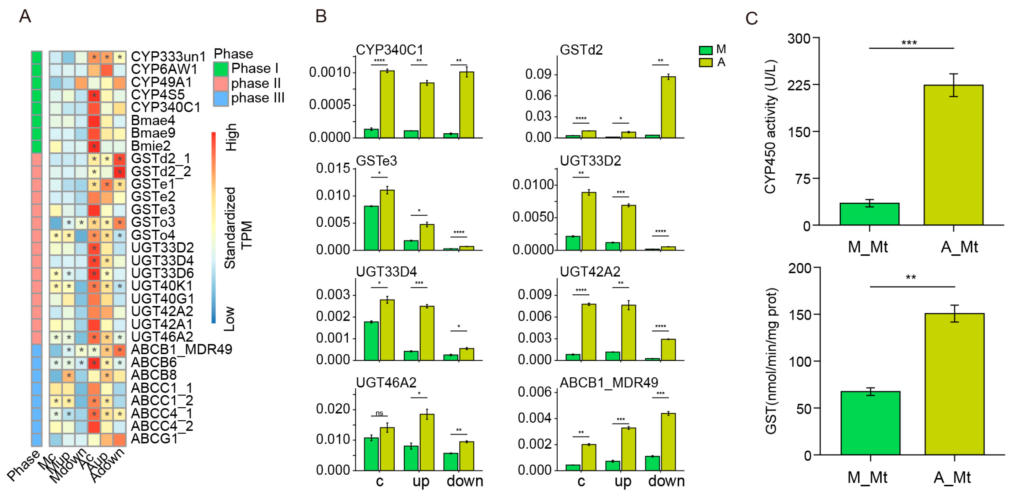 Ijms 24 09949 g004 Ijms 24 09949 g004