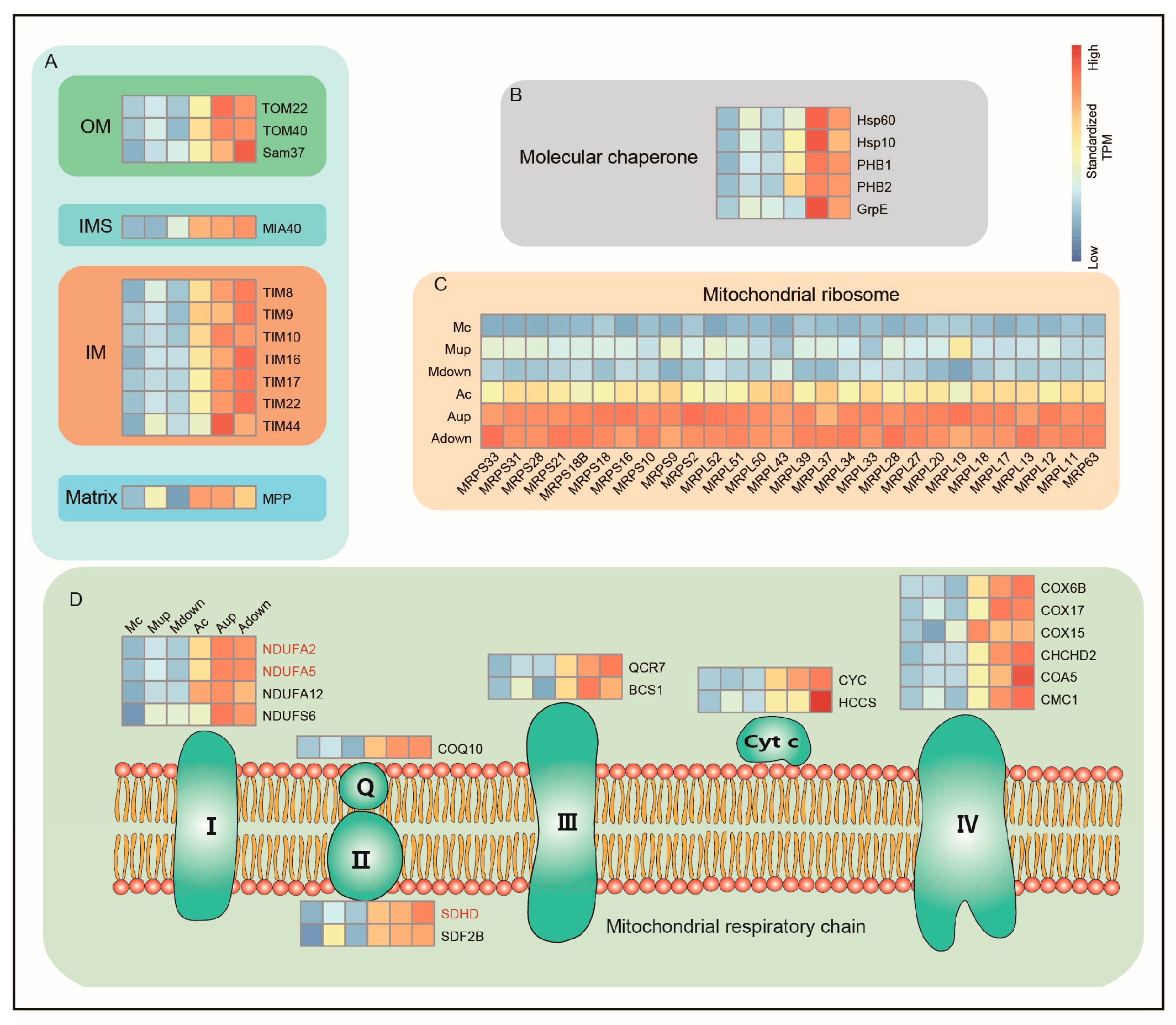 Ijms 24 09949 g006 Ijms 24 09949 g006