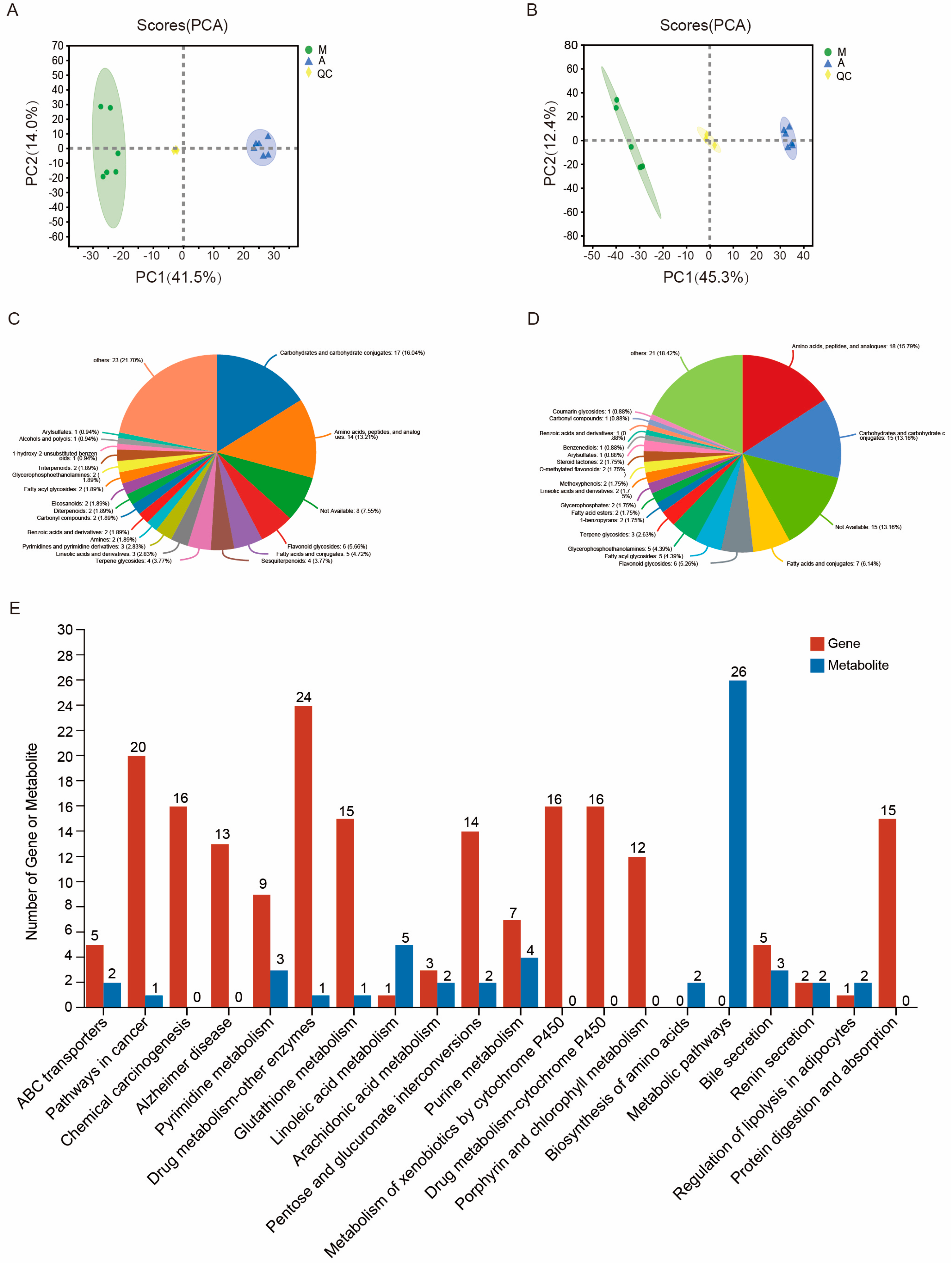 Ijms 24 09949 g007 Ijms 24 09949 g007