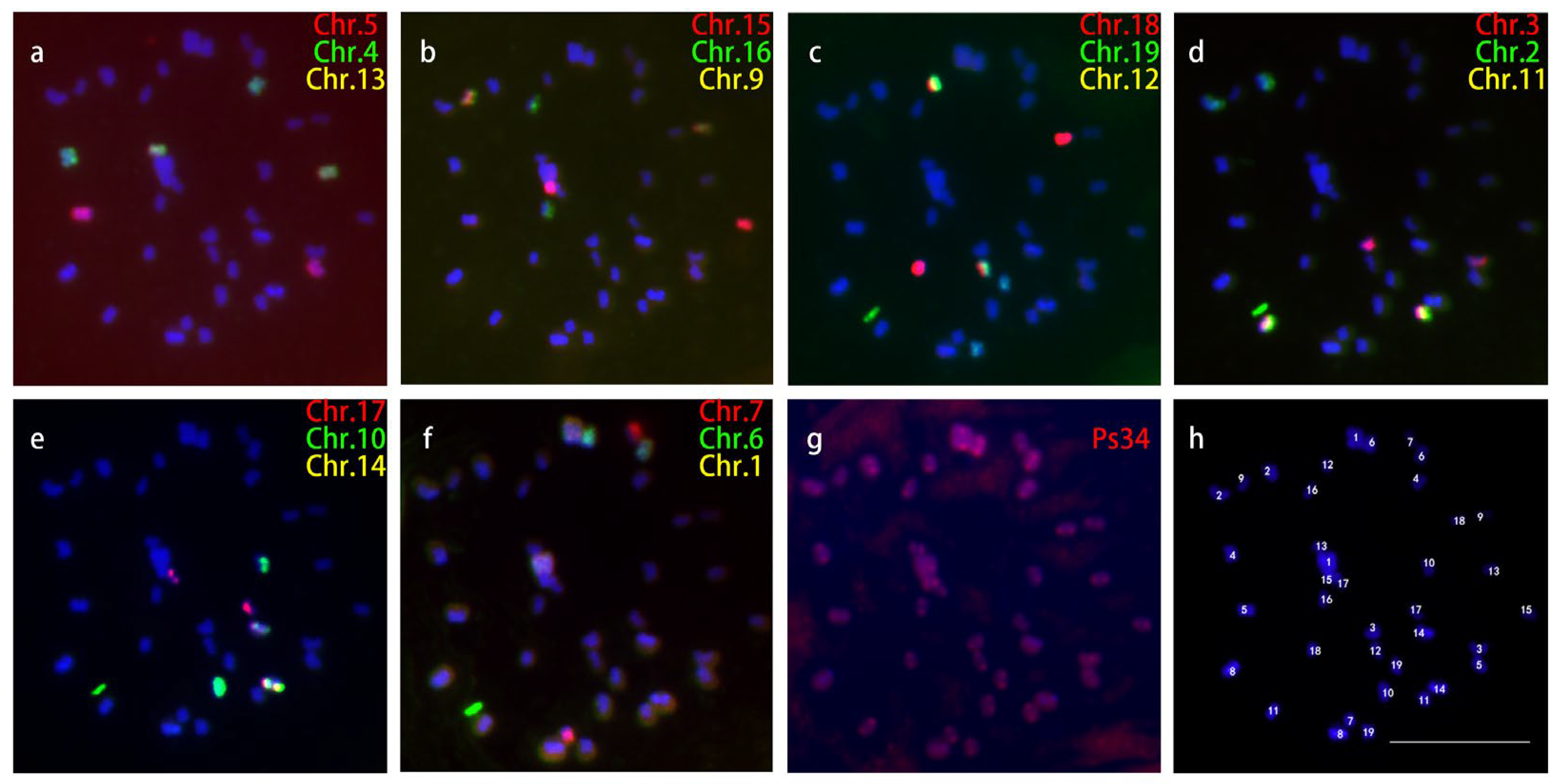 Ijms 24 09950 g001 Ijms 24 09950 g001