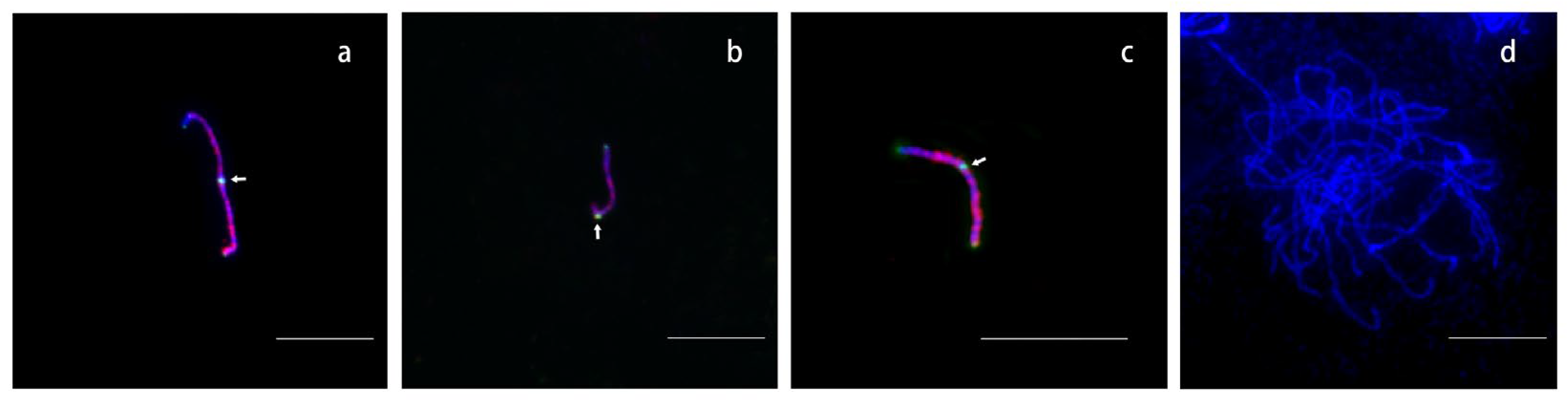 Ijms 24 09950 g002 Ijms 24 09950 g002
