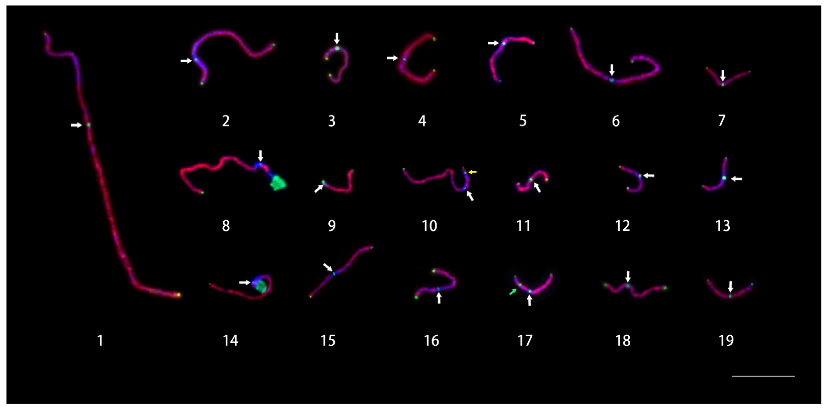 Ijms 24 09950 g003 Ijms 24 09950 g003