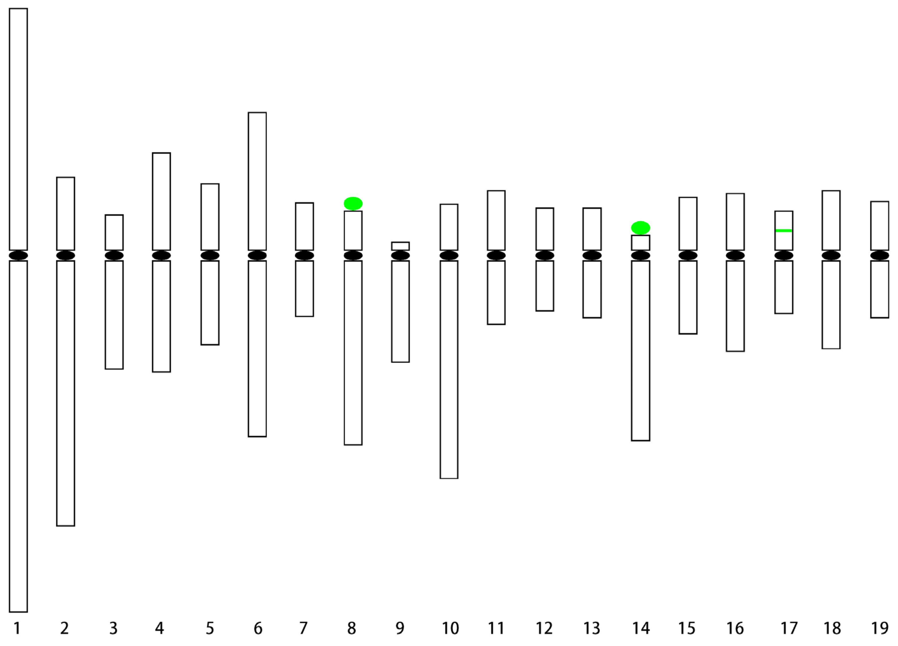 Ijms 24 09950 g004 Ijms 24 09950 g004