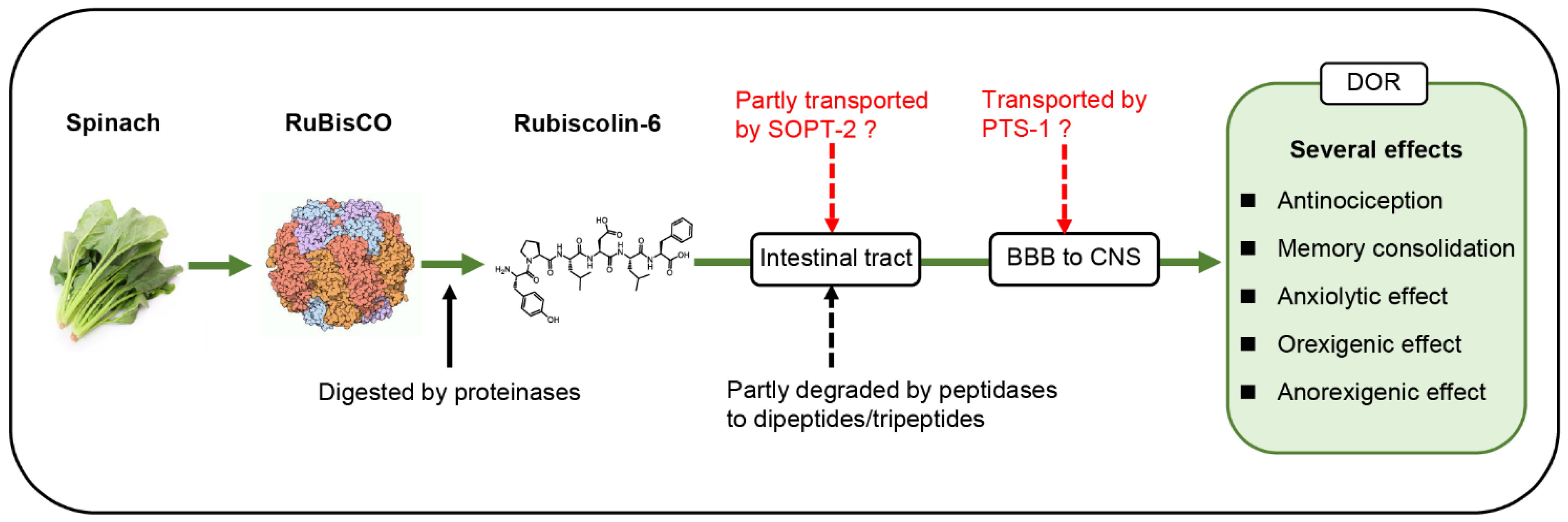 Ijms 24 09959 g001 Ijms 24 09959 g001