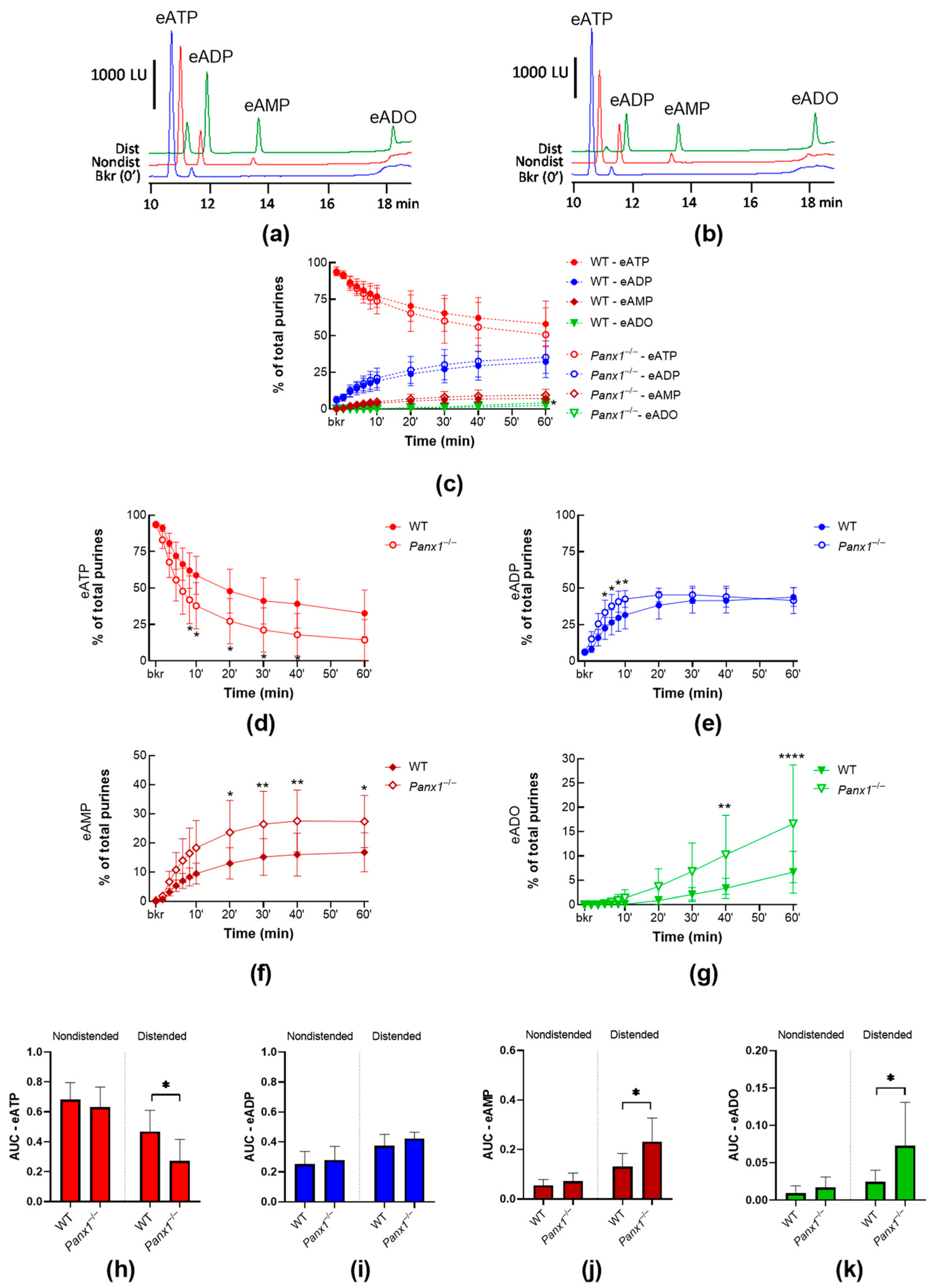 Ijms 24 09964 g002 Ijms 24 09964 g002
