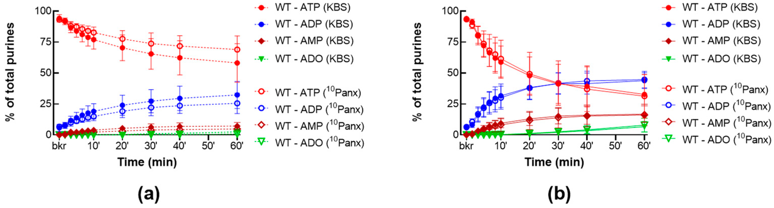 Ijms 24 09964 g003 Ijms 24 09964 g003