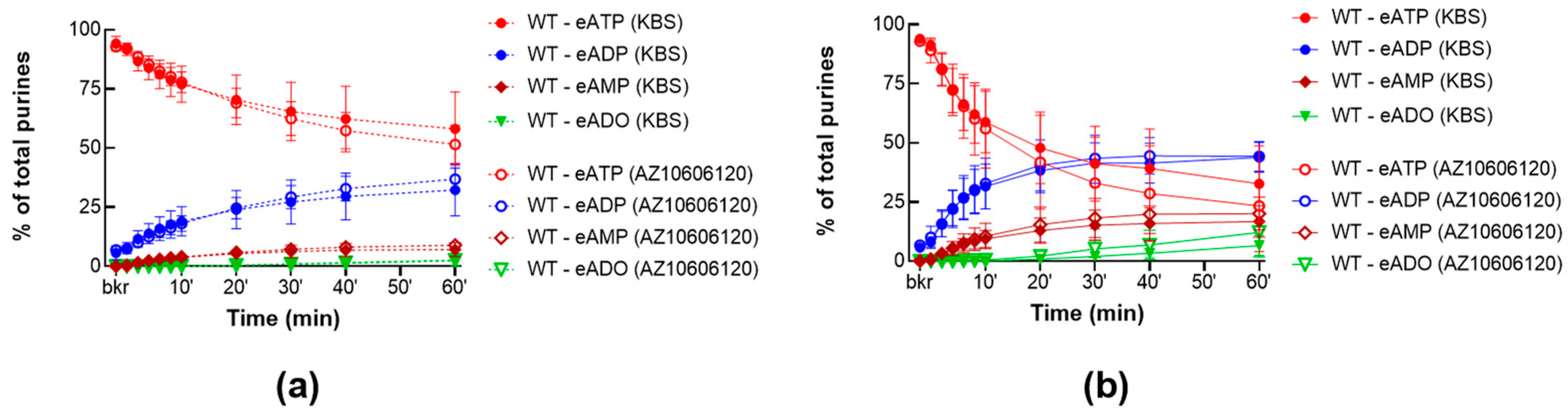 Ijms 24 09964 g004 Ijms 24 09964 g004