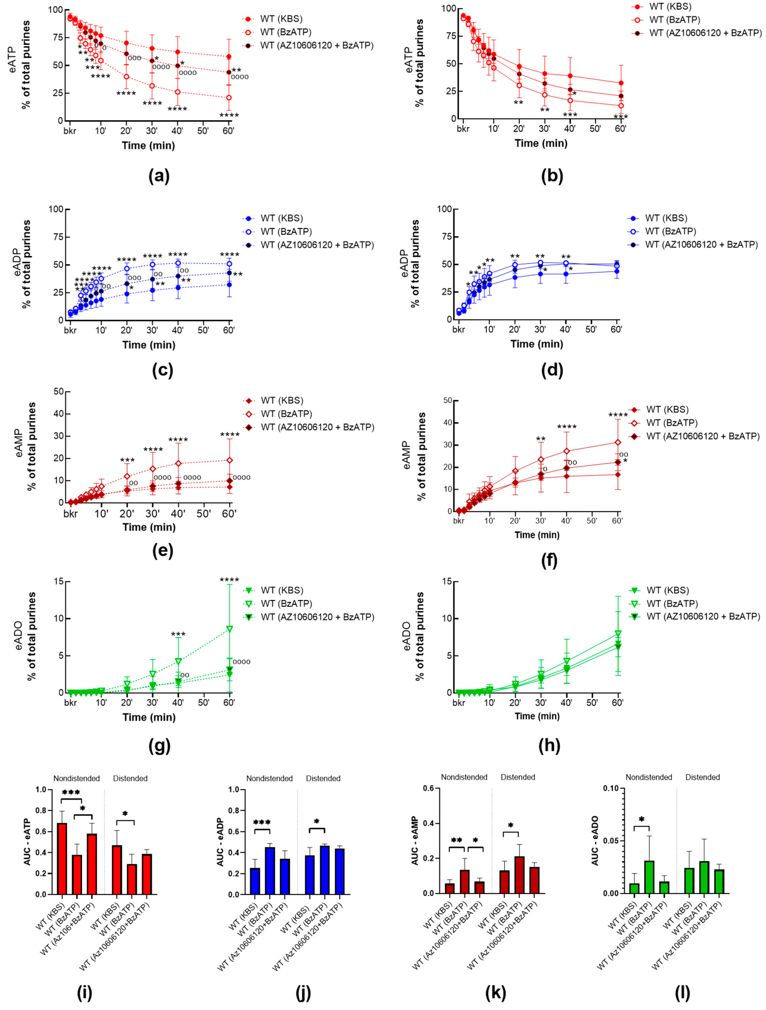 Ijms 24 09964 g005 Ijms 24 09964 g005