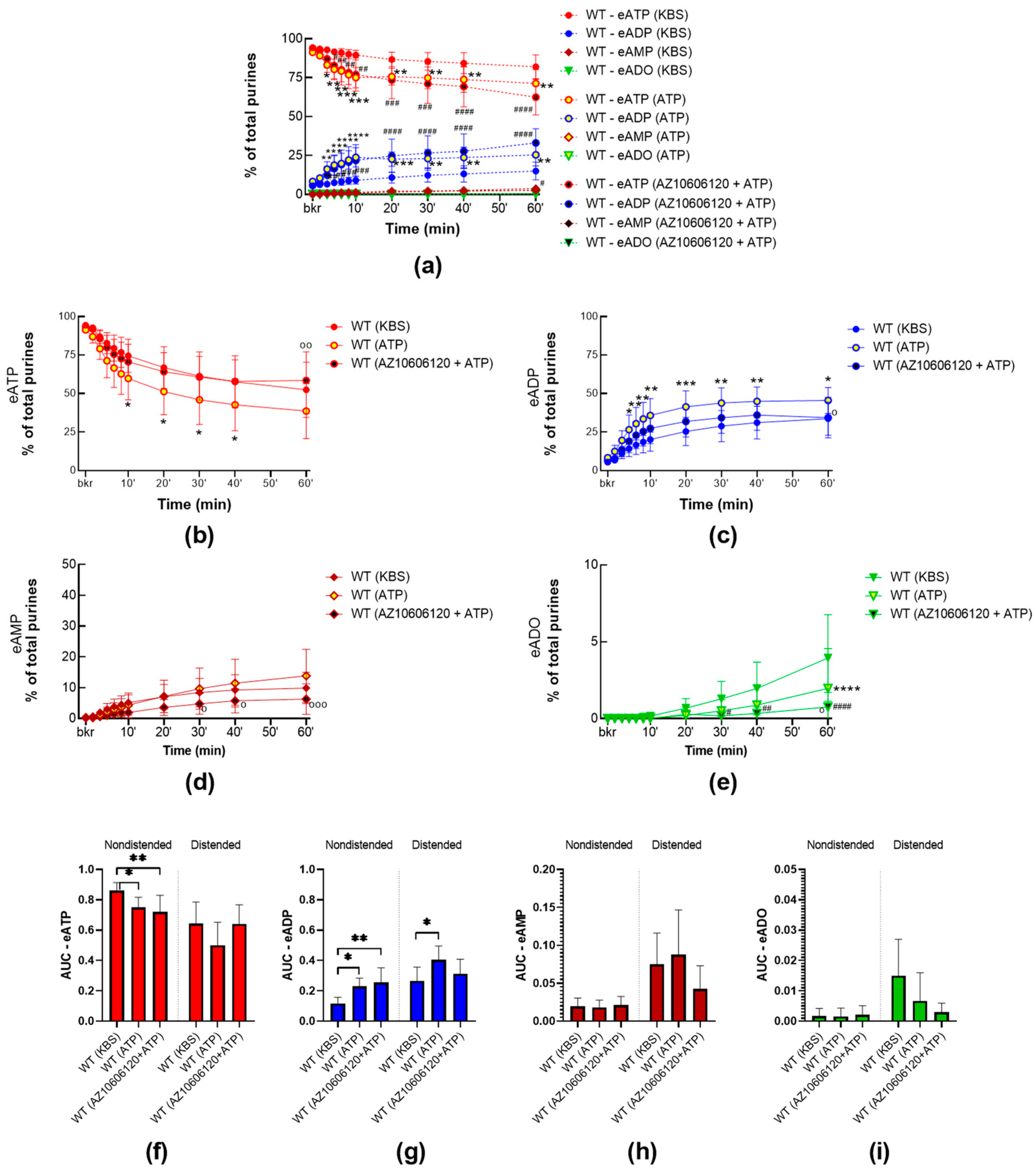 Ijms 24 09964 g006 Ijms 24 09964 g006