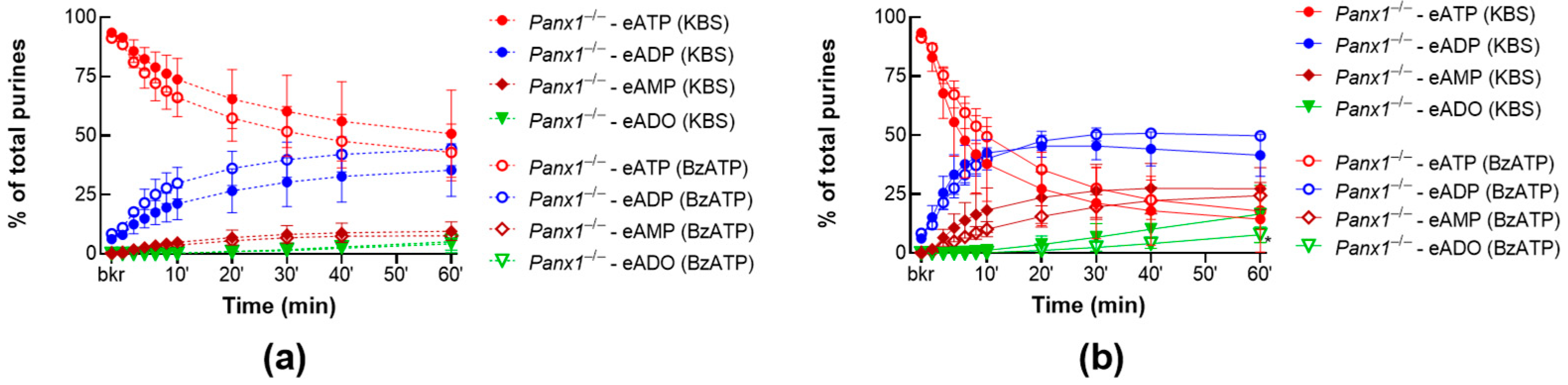 Ijms 24 09964 g007 Ijms 24 09964 g007