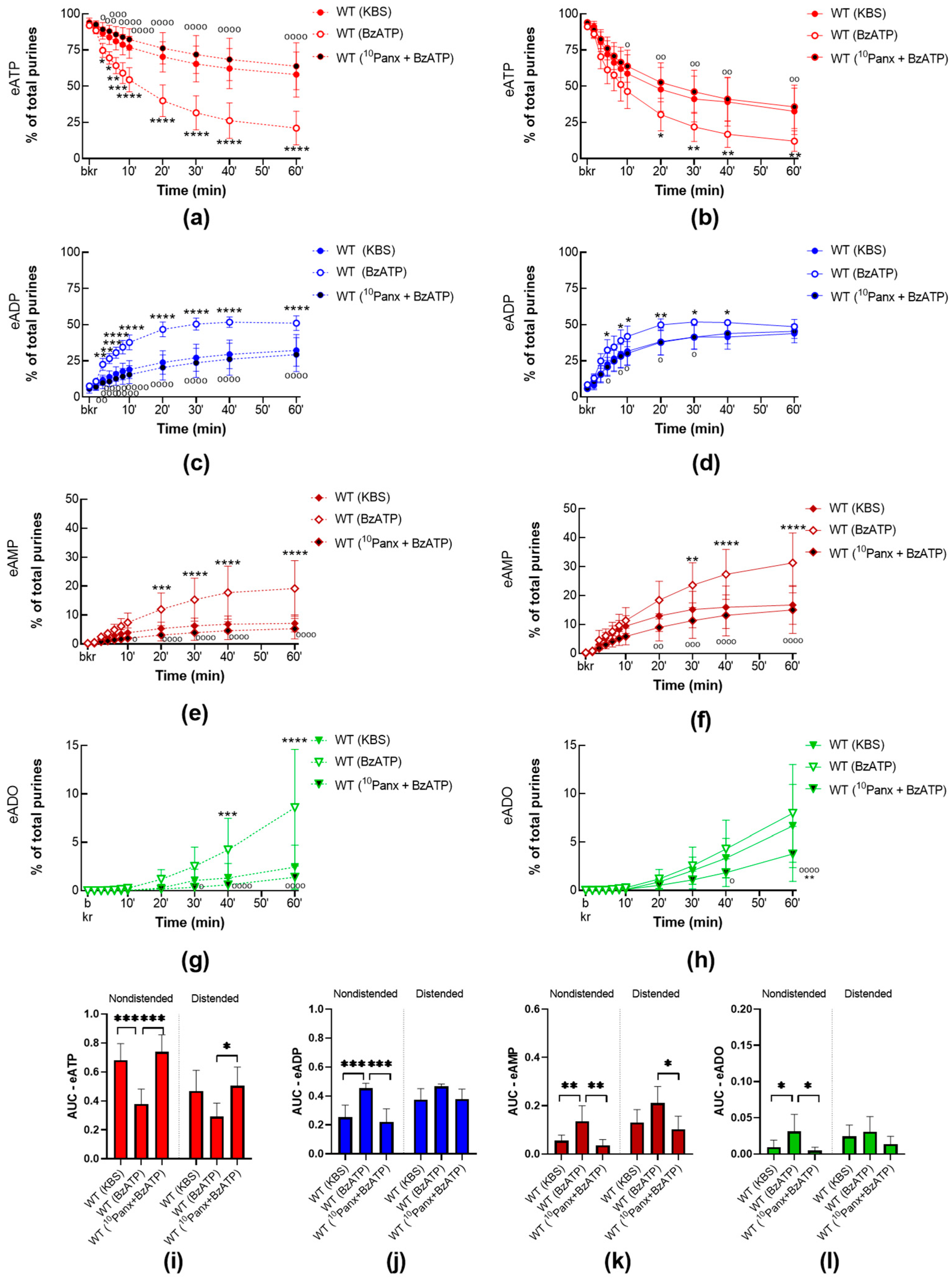 Ijms 24 09964 g008 Ijms 24 09964 g008
