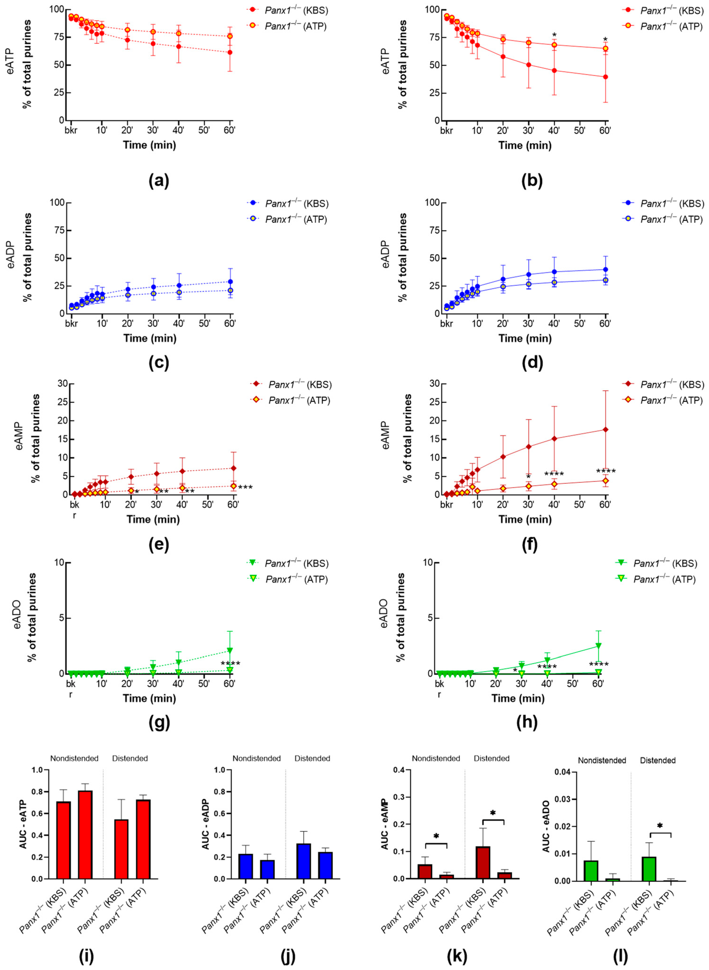 Ijms 24 09964 g009 Ijms 24 09964 g009