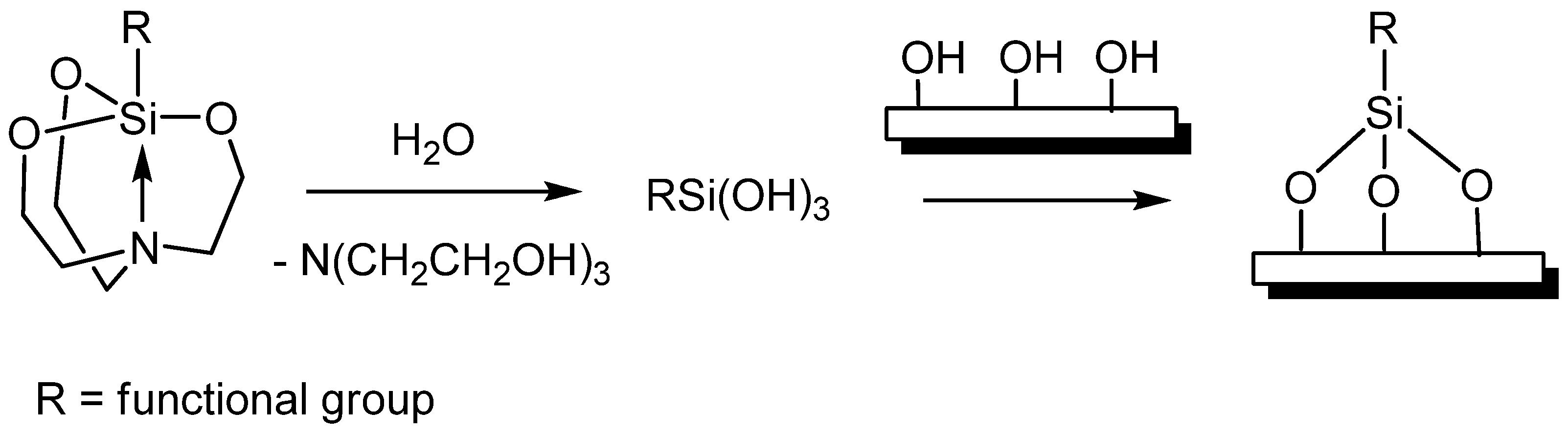 Ijms 24 09965 sch001