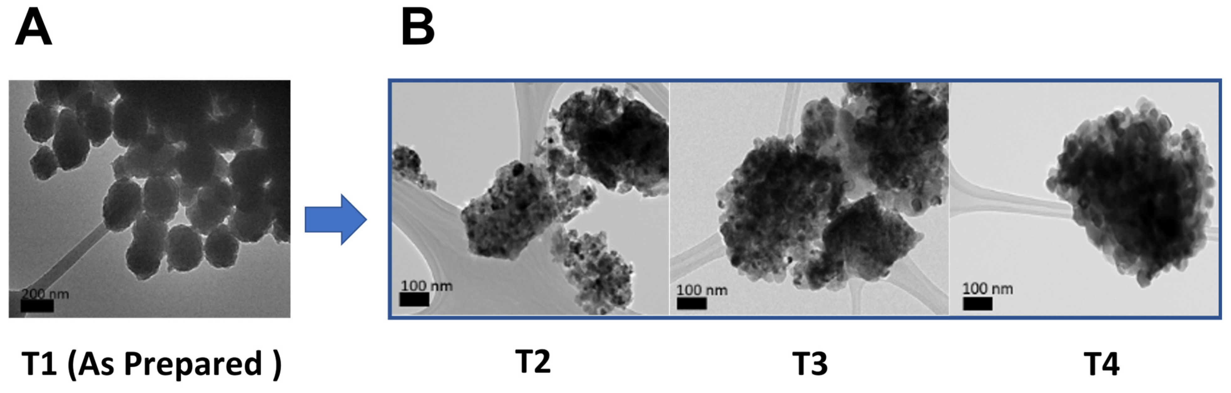 Ijms 24 09966 g001 Ijms 24 09966 g001