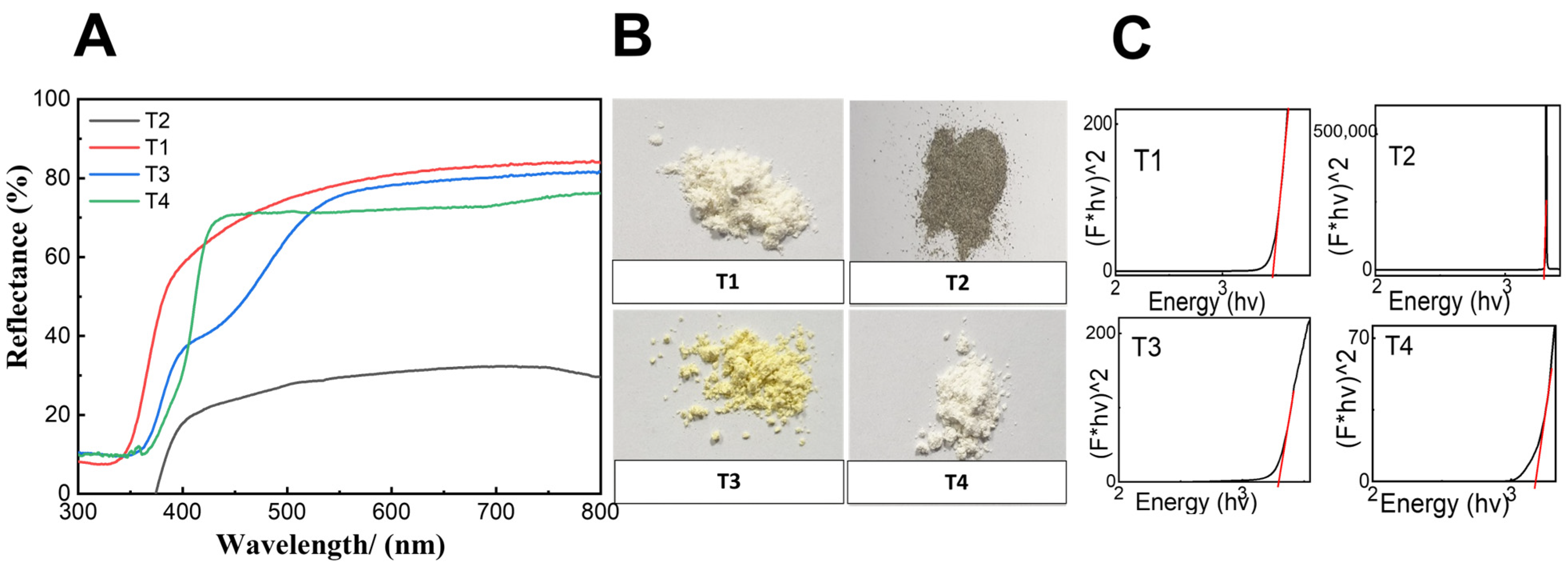 Ijms 24 09966 g002 Ijms 24 09966 g002