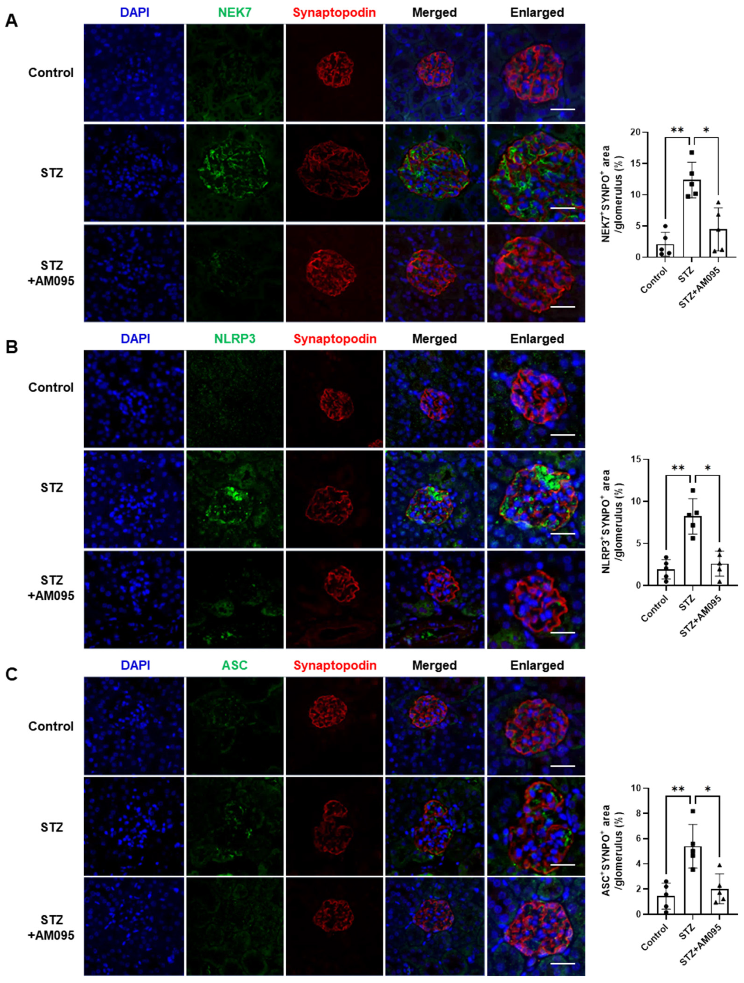 Ijms 24 09968 g002 Ijms 24 09968 g002