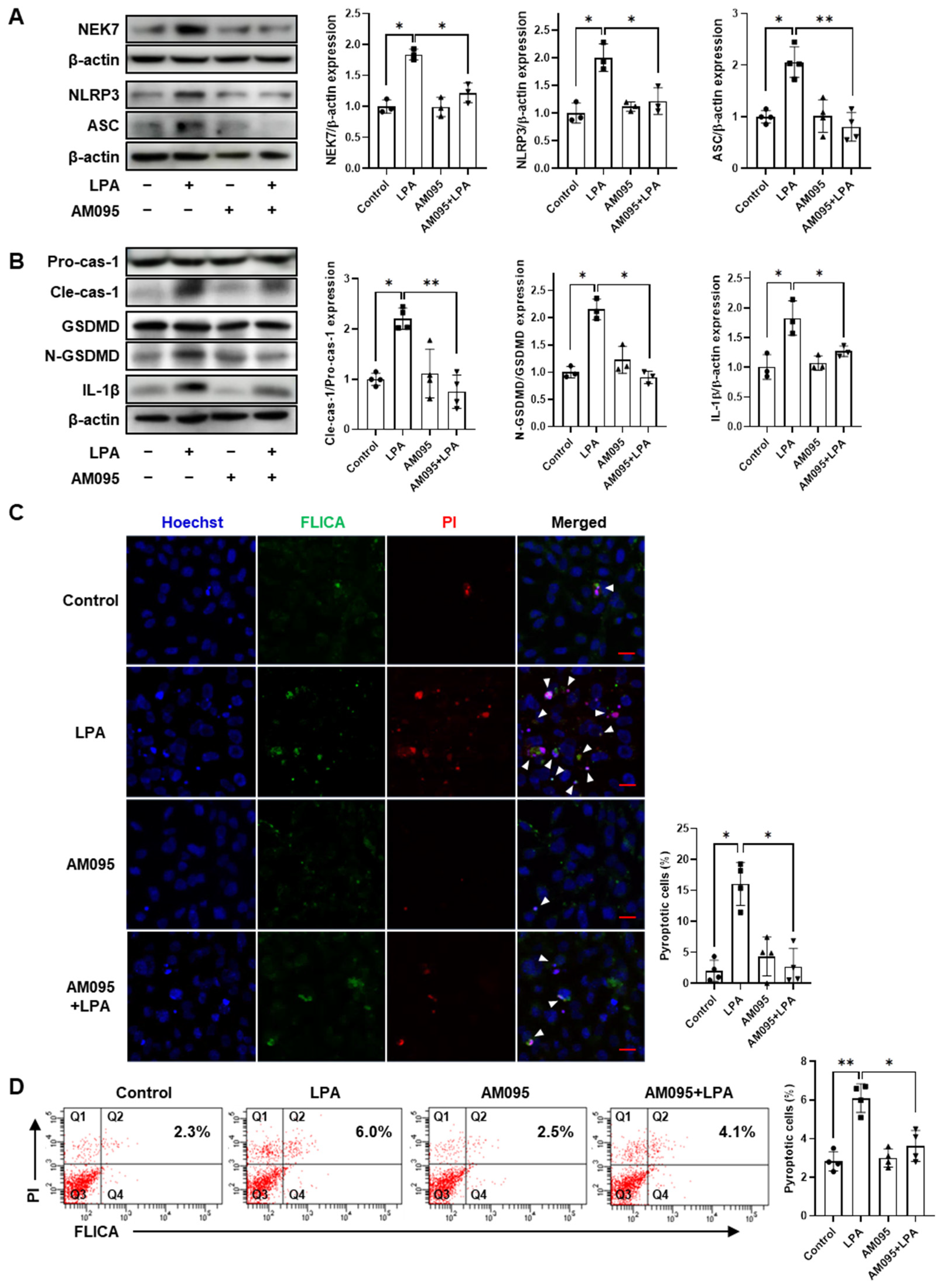 Ijms 24 09968 g003 Ijms 24 09968 g003