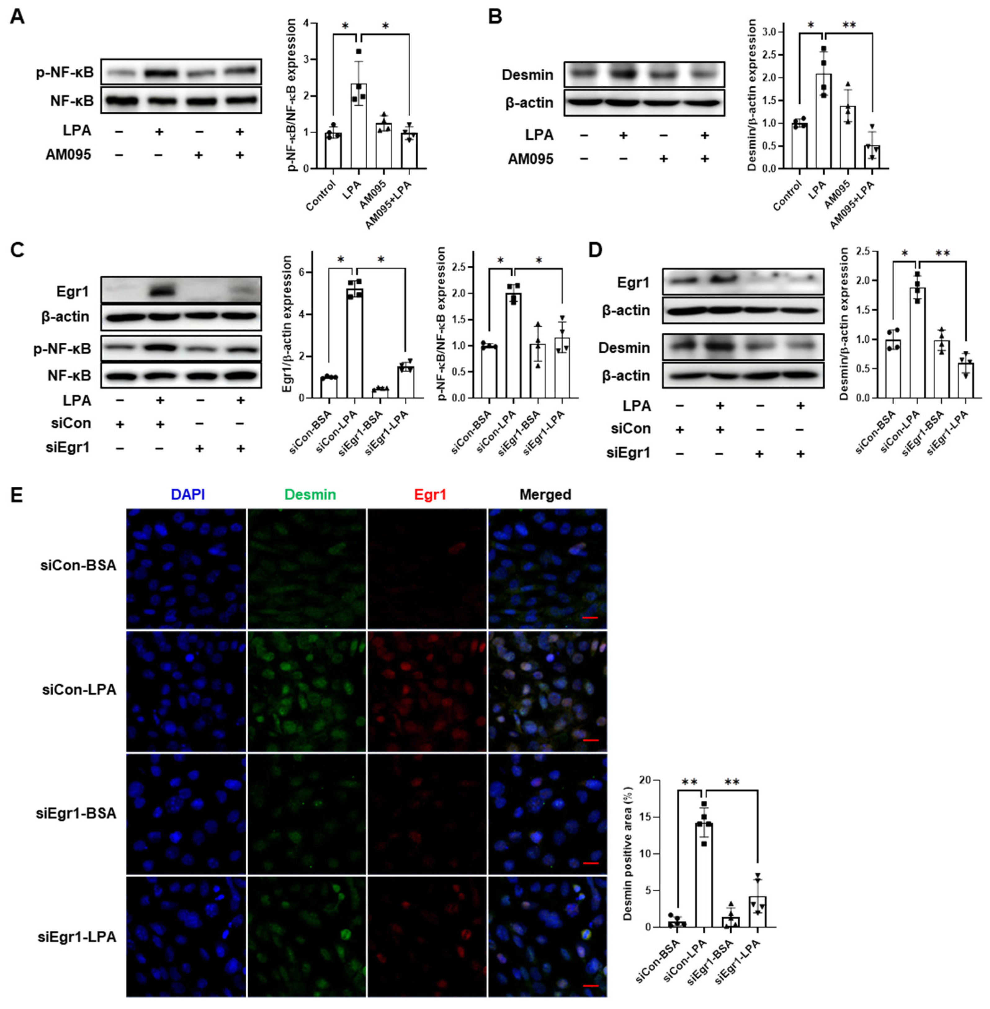 Ijms 24 09968 g005 Ijms 24 09968 g005