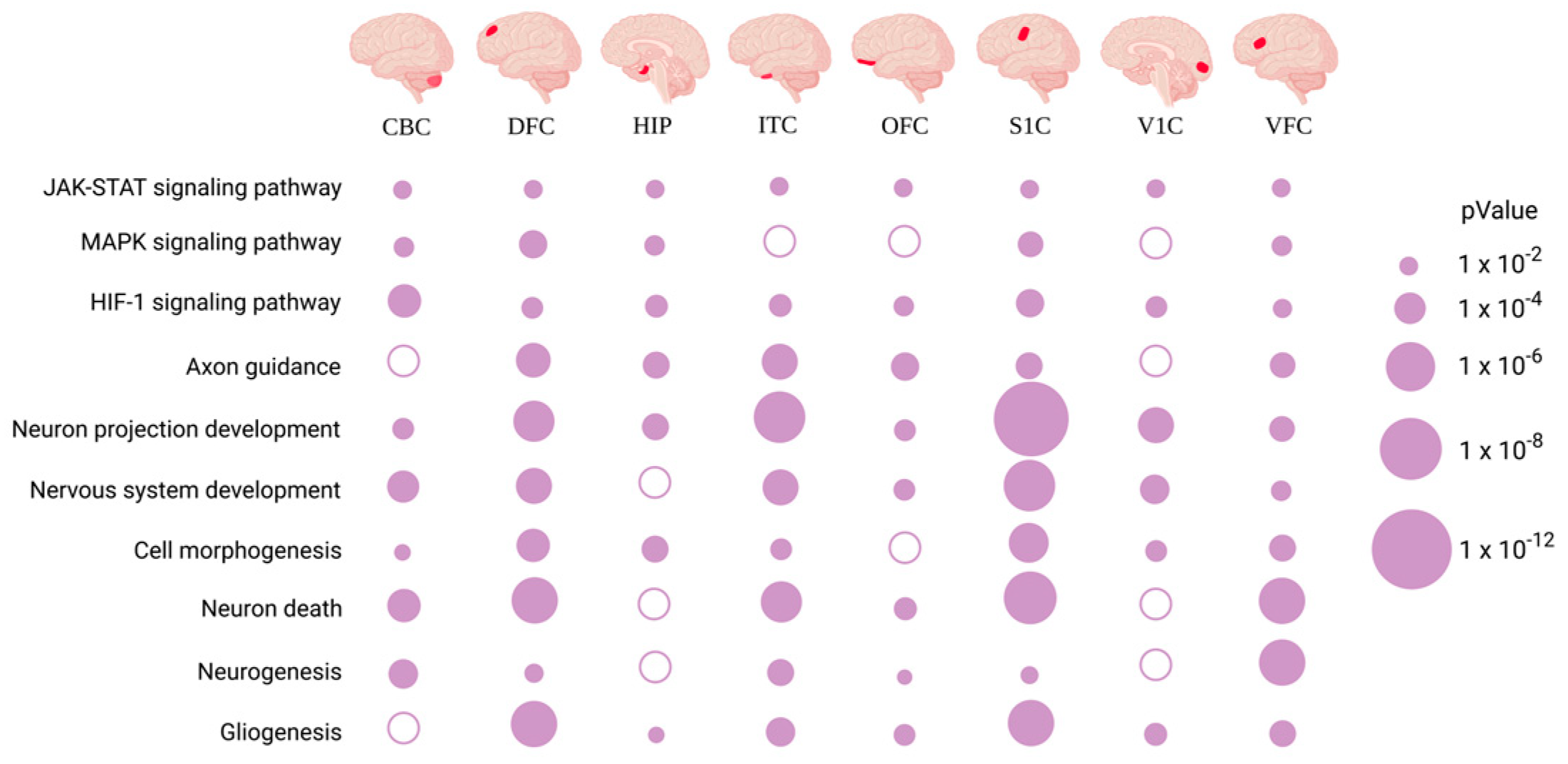 Ijms 24 09980 g007 Ijms 24 09980 g007
