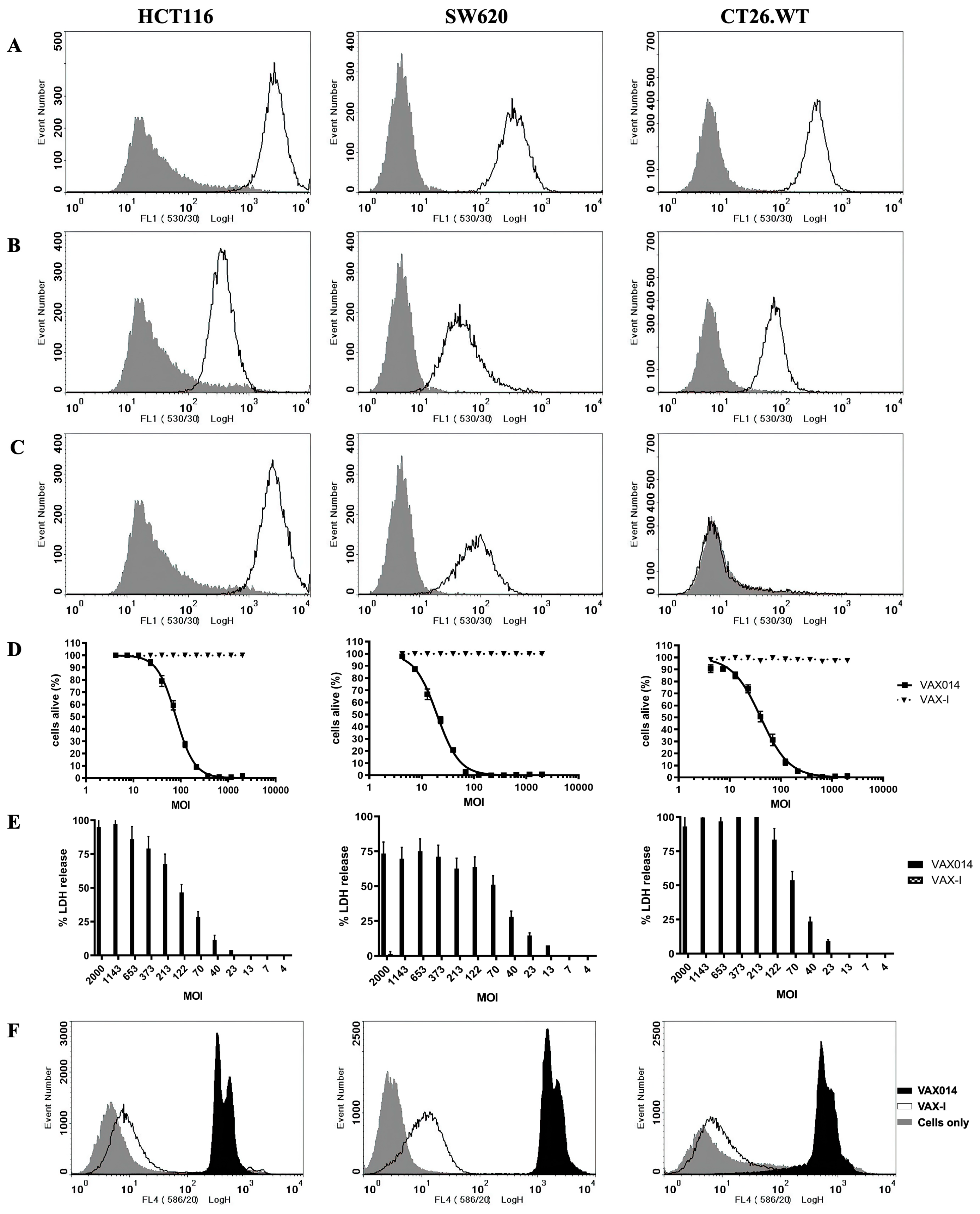 Ijms 24 09993 g001 Ijms 24 09993 g001