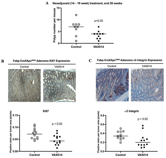 VAX014, an Oncolytic Therapy, Reduces Adenomas and Modifies Colon