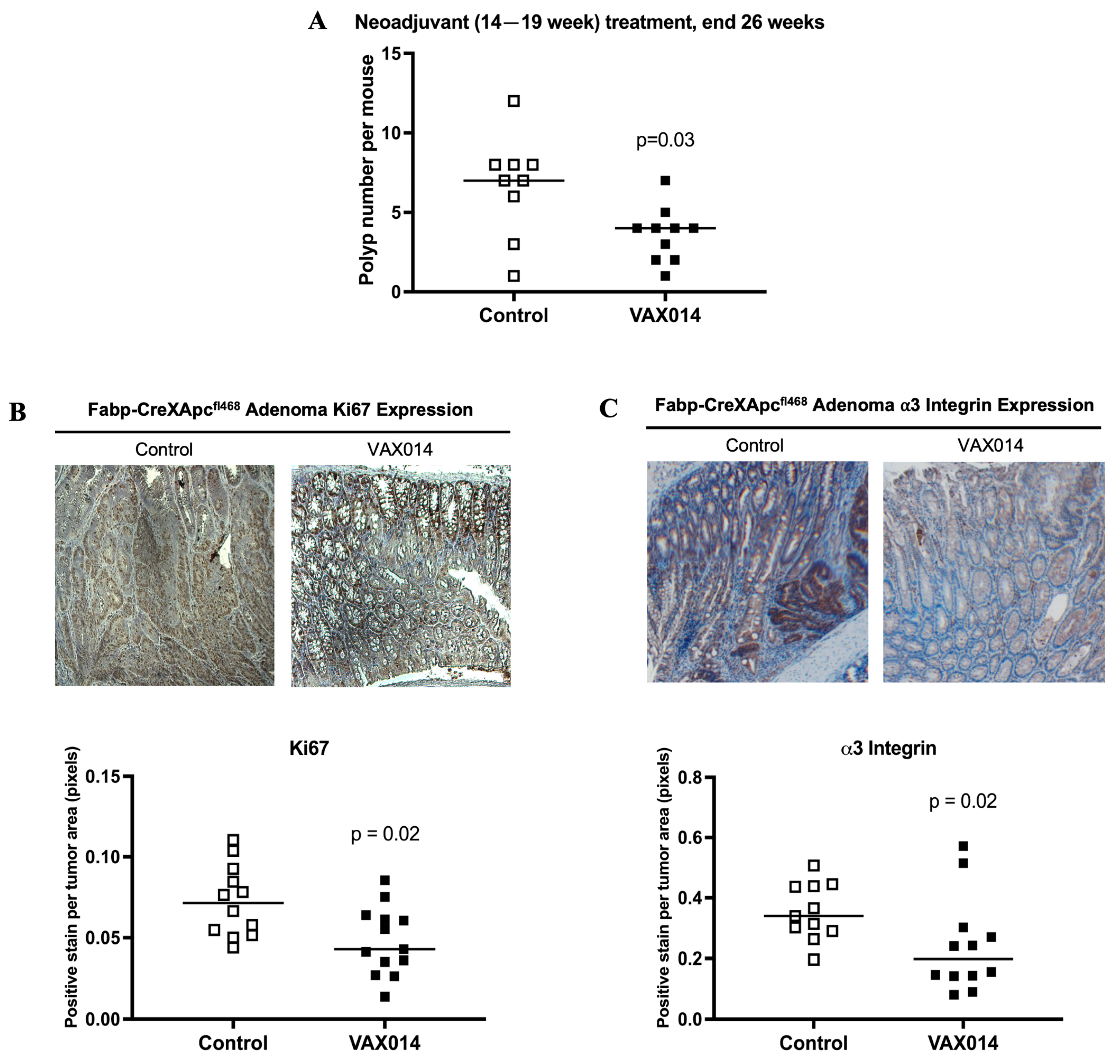 Ijms 24 09993 g003 Ijms 24 09993 g003