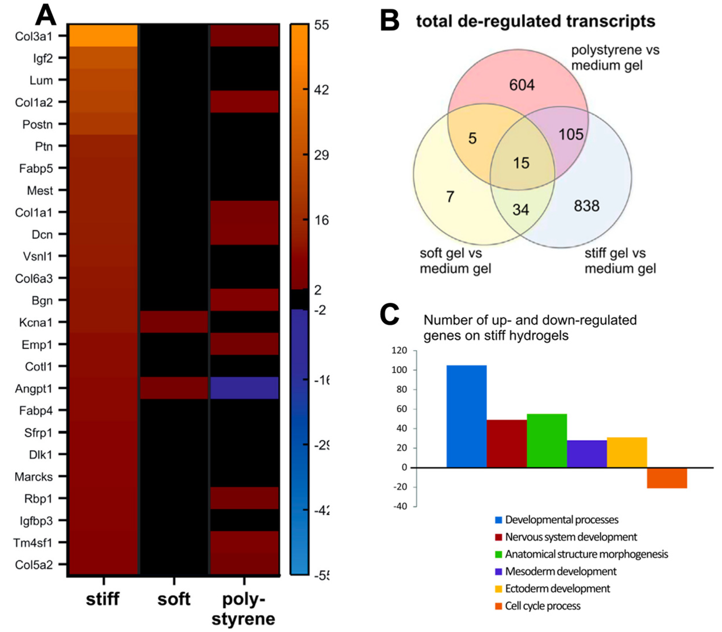 Ijms 24 09995 g004 Ijms 24 09995 g004