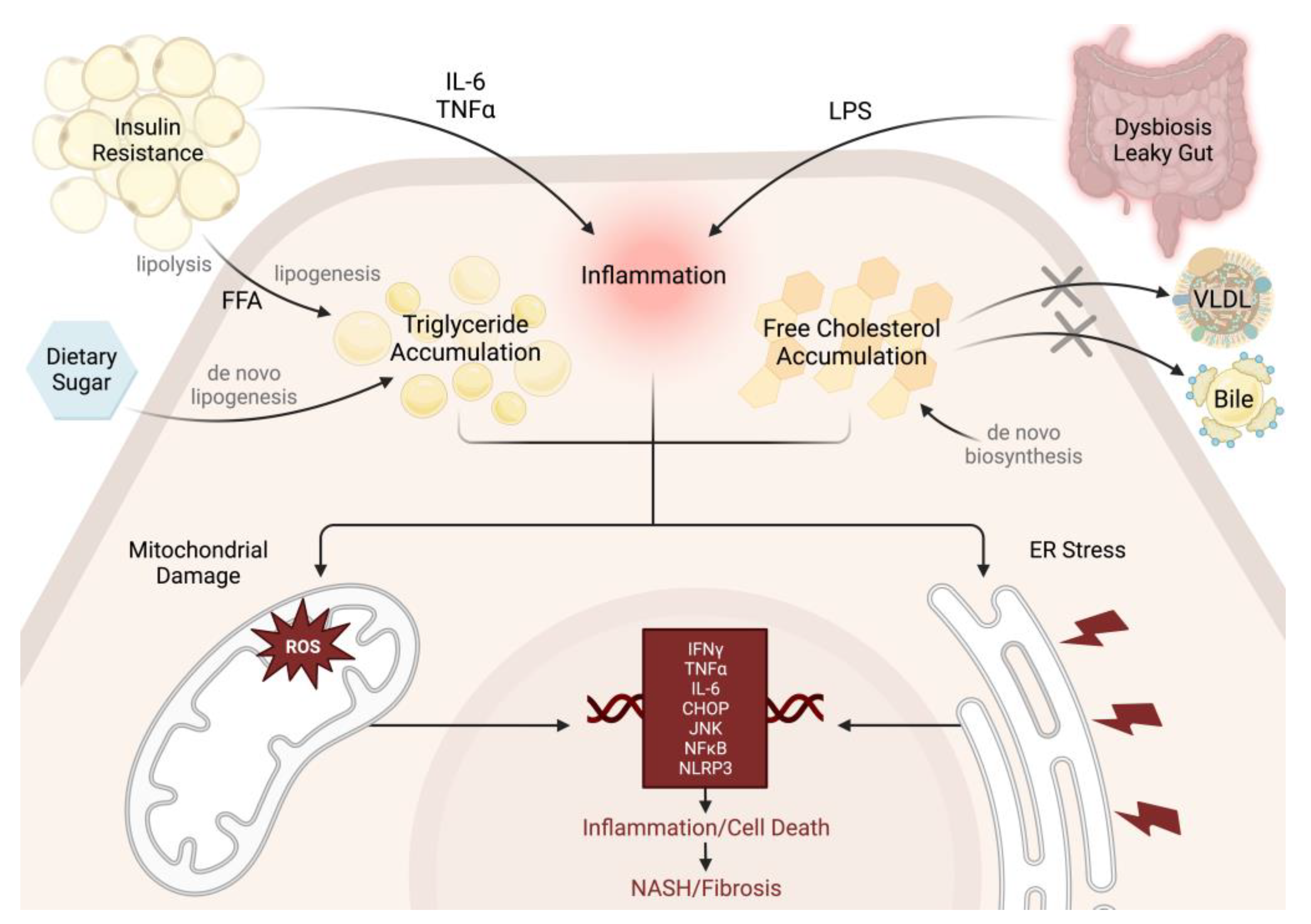 Ijms 24 09996 g001 Ijms 24 09996 g001
