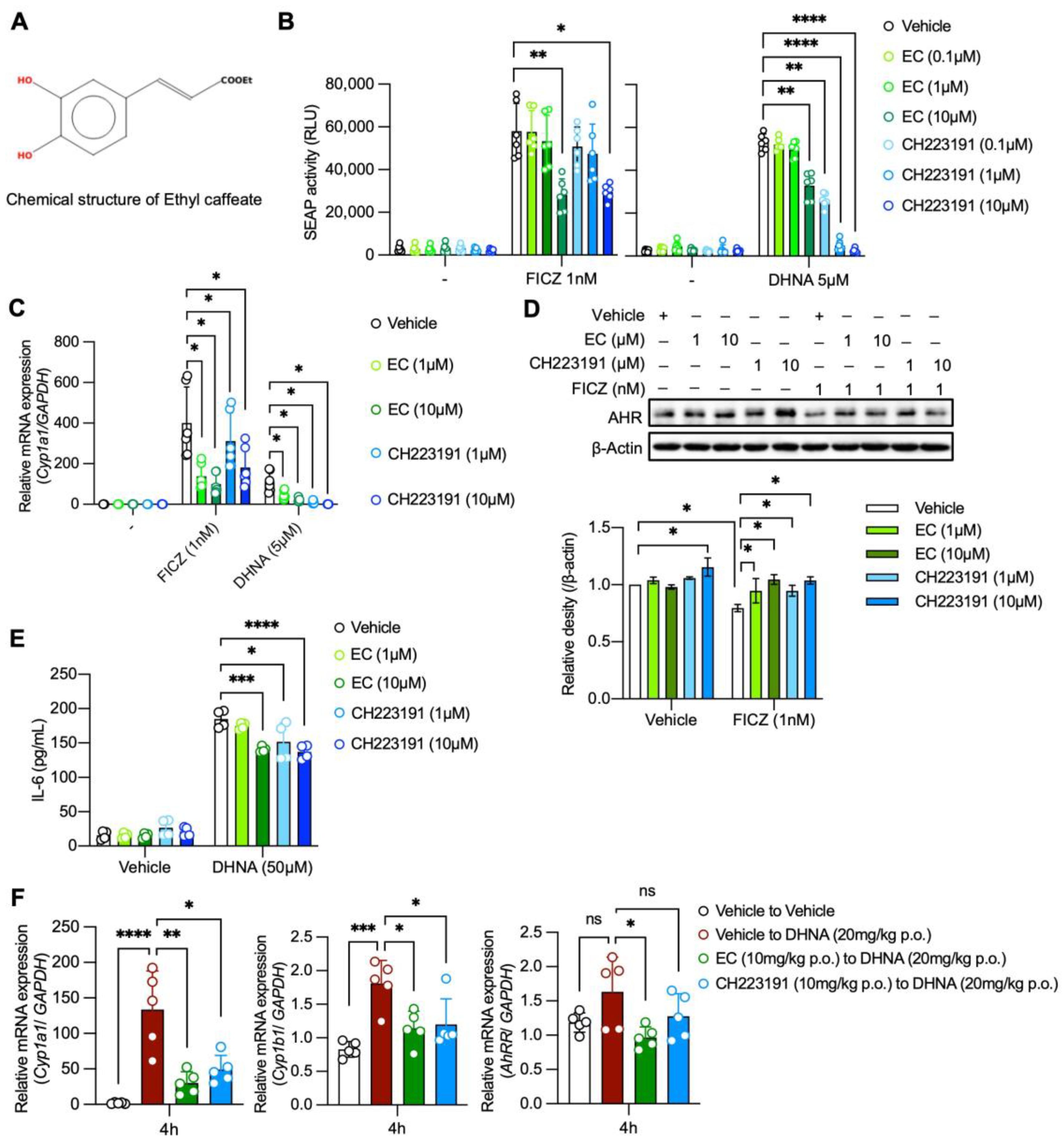 Ijms 24 09997 g001 Ijms 24 09997 g001