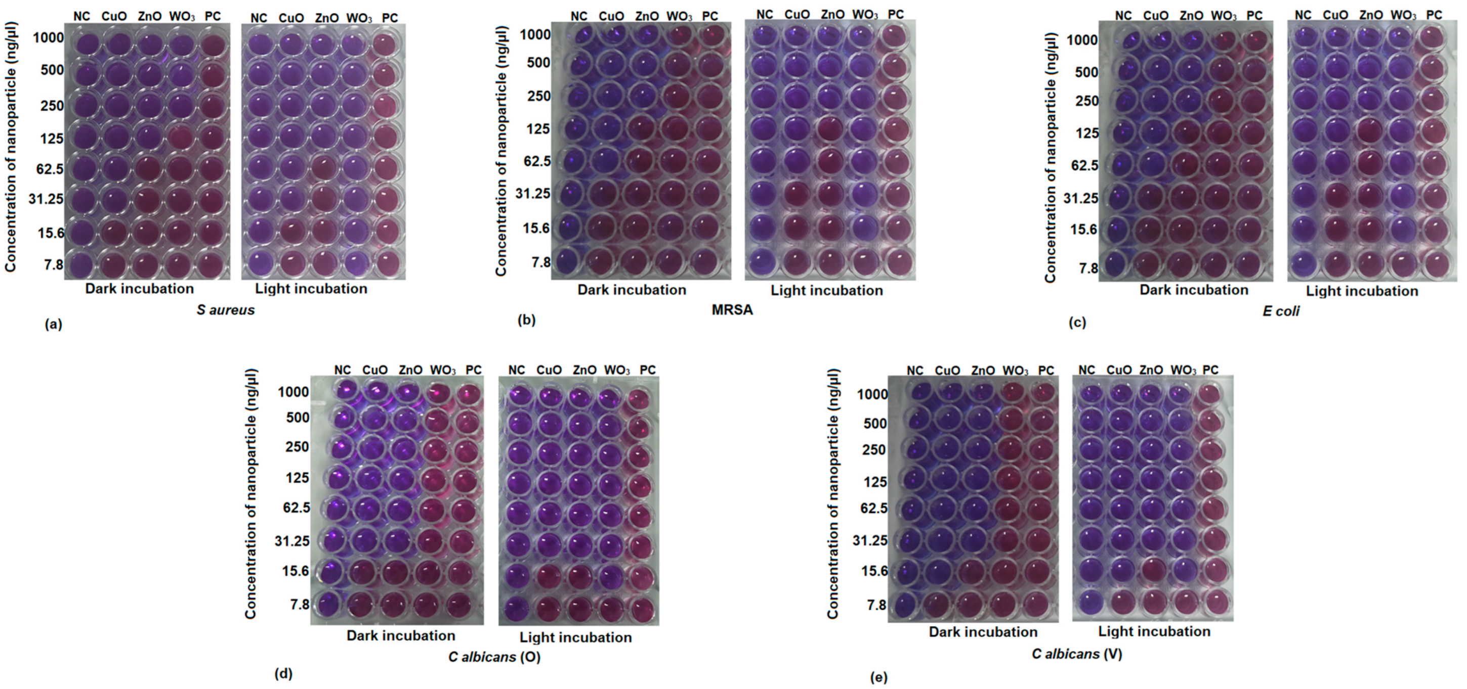 Ijms 24 09998 g002 Ijms 24 09998 g002