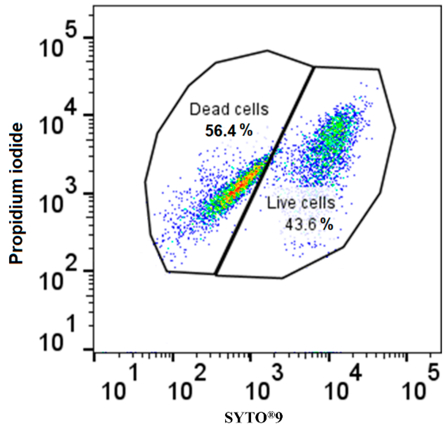 Ijms 24 09998 g005 Ijms 24 09998 g005