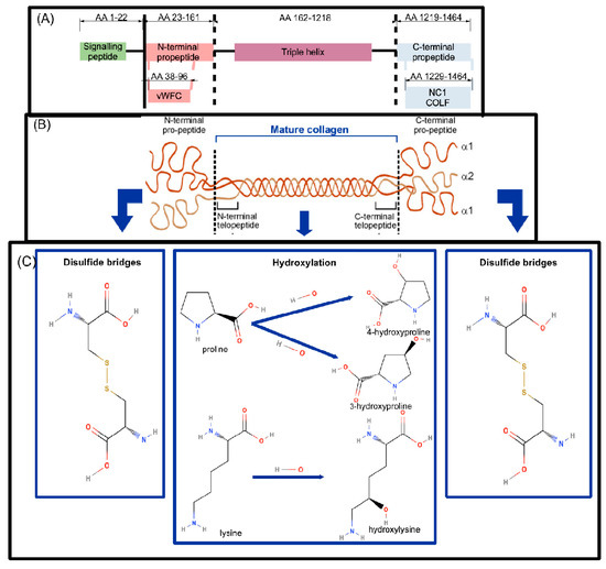 Reviewing the Regulators of COL1A1