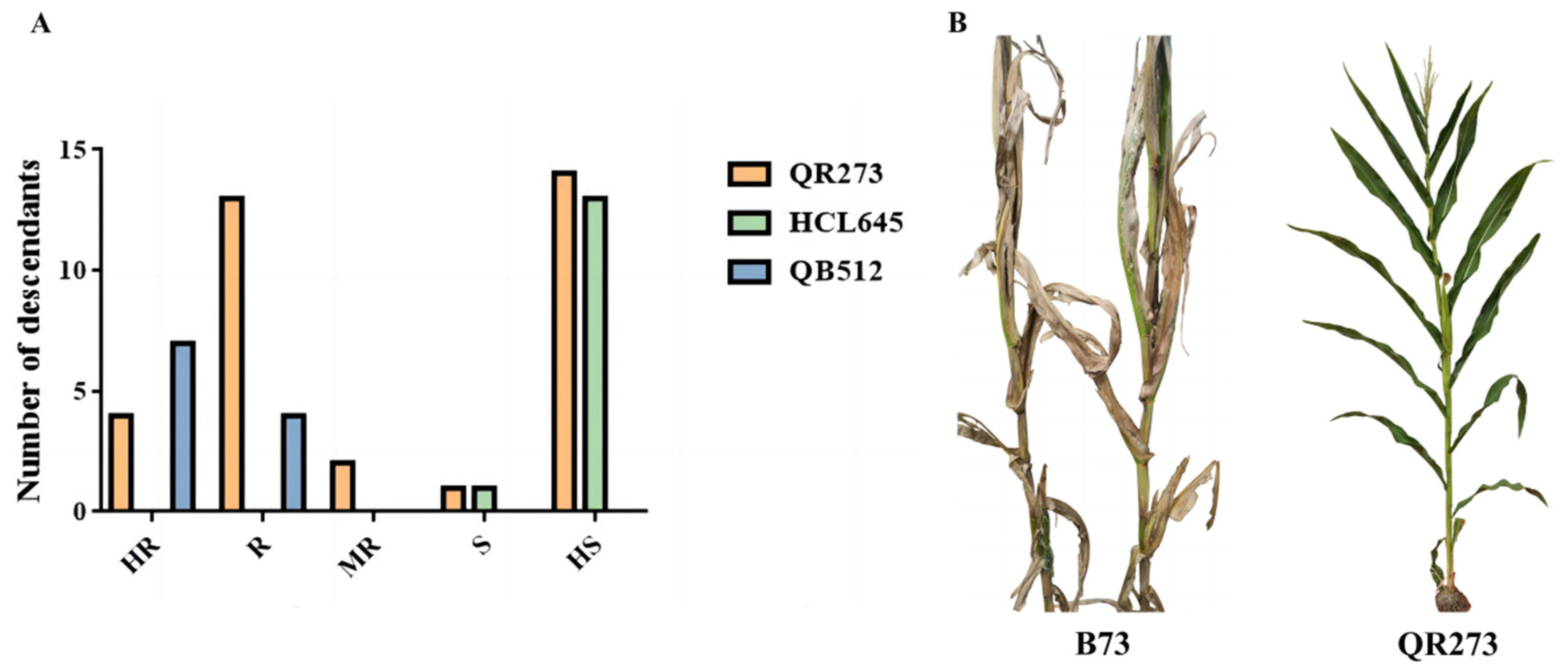 Ijms 24 10005 g001 Ijms 24 10005 g001