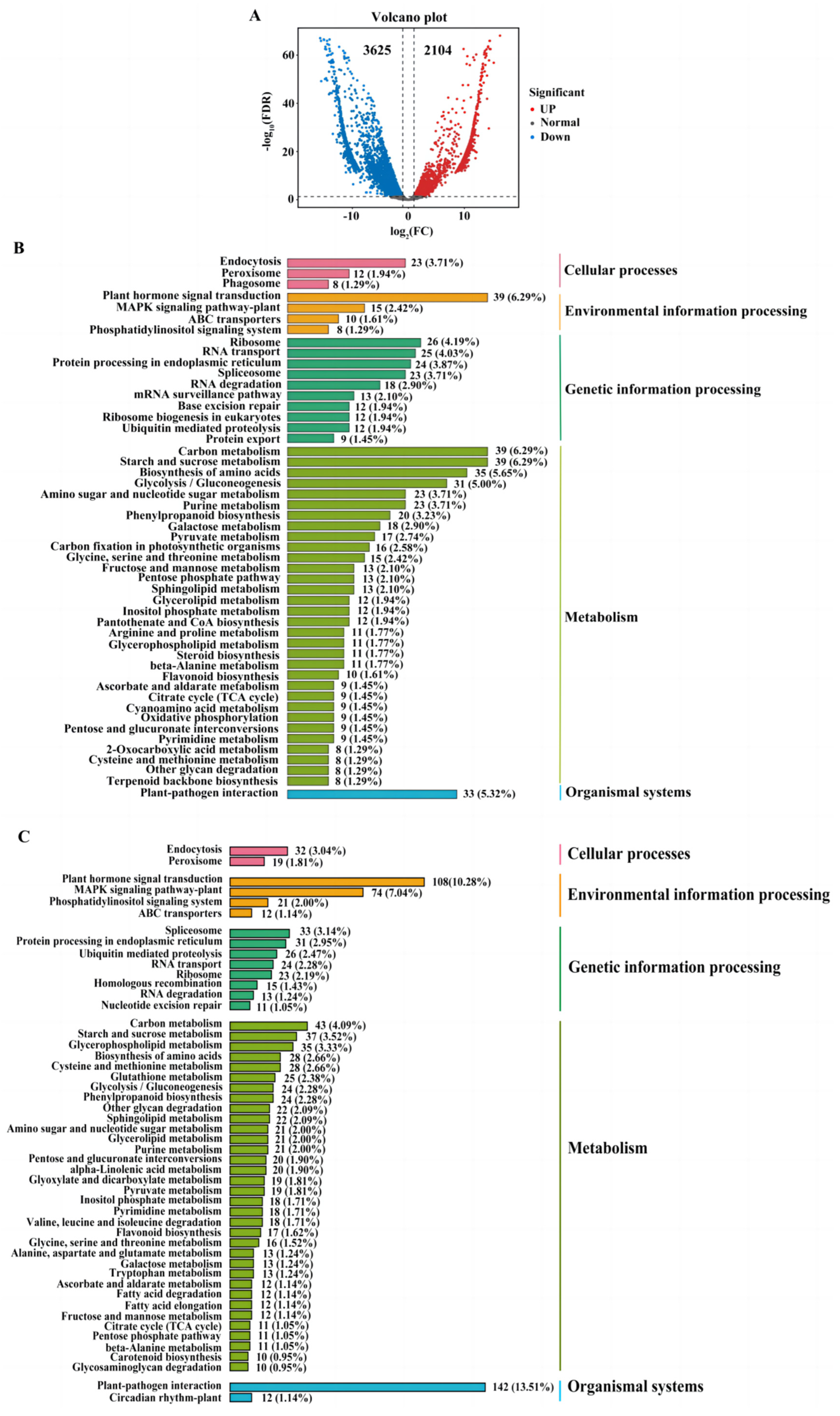 Ijms 24 10005 g005 Ijms 24 10005 g005