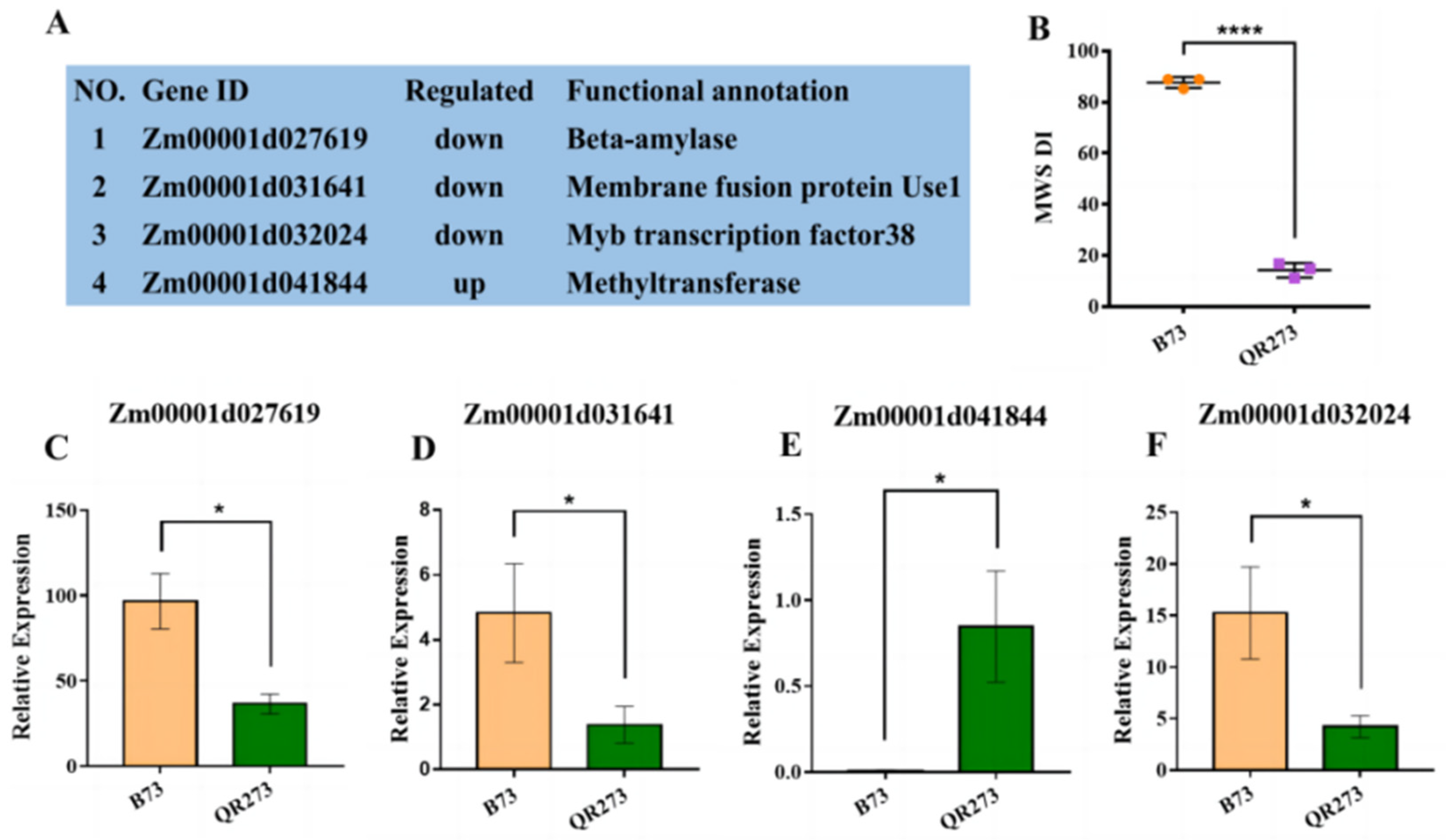 Ijms 24 10005 g006 Ijms 24 10005 g006