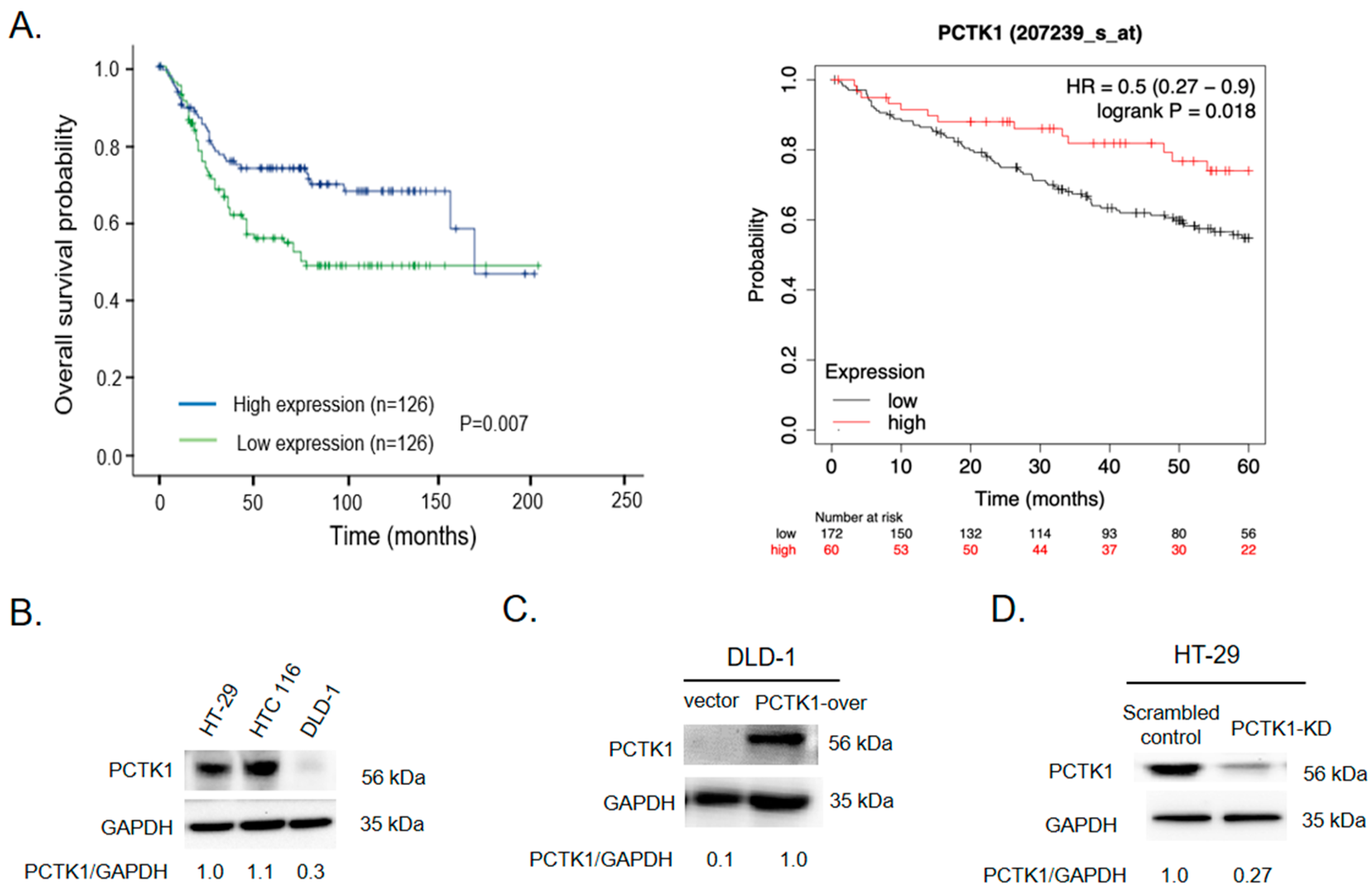 Colorectal Cancer in the Elderly [ハードカバー] Tan， Kok-Yang Patients younger than 40 years with colorectal cancer have a