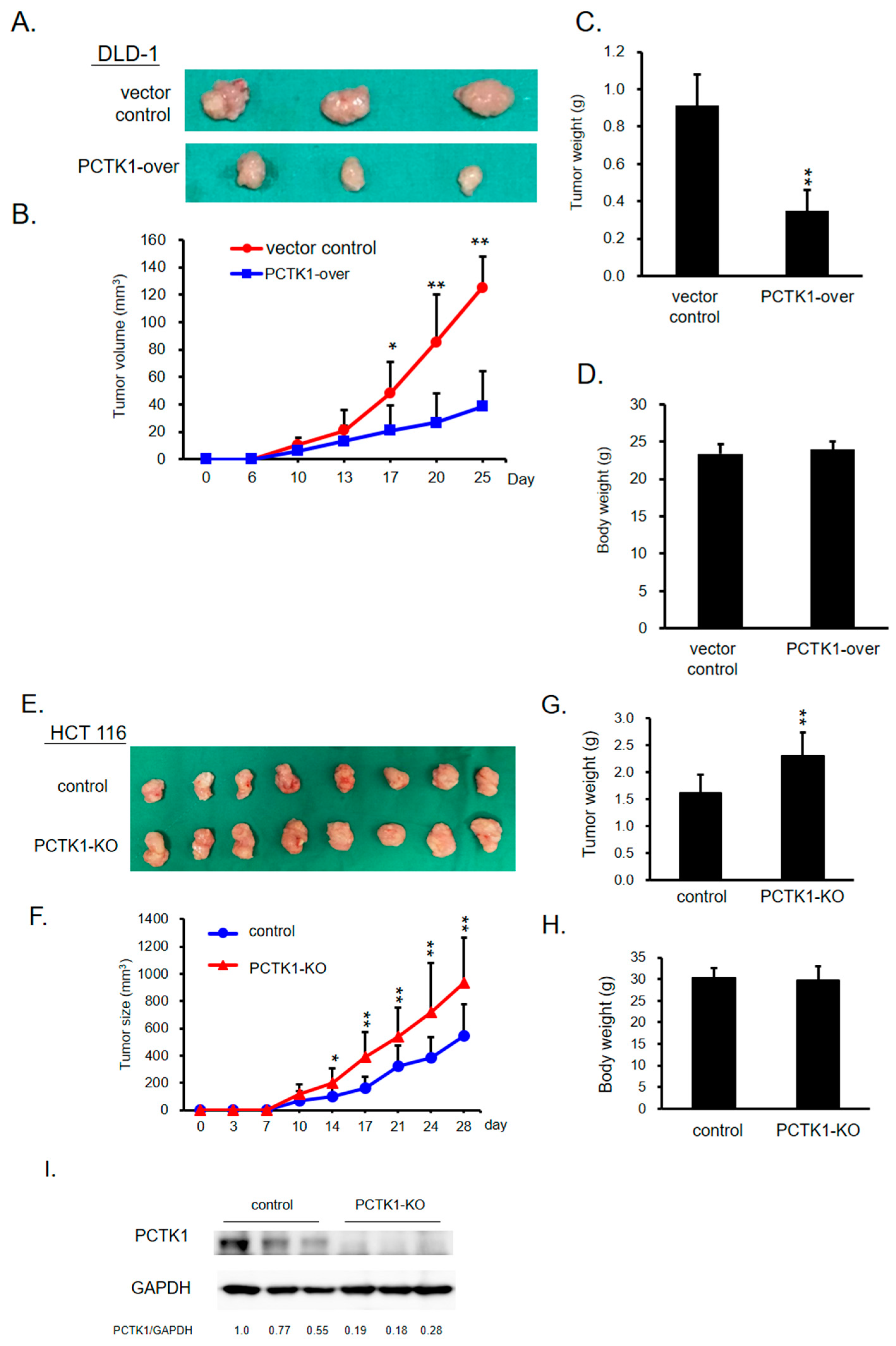 Ijms 24 10008 g002 Ijms 24 10008 g002